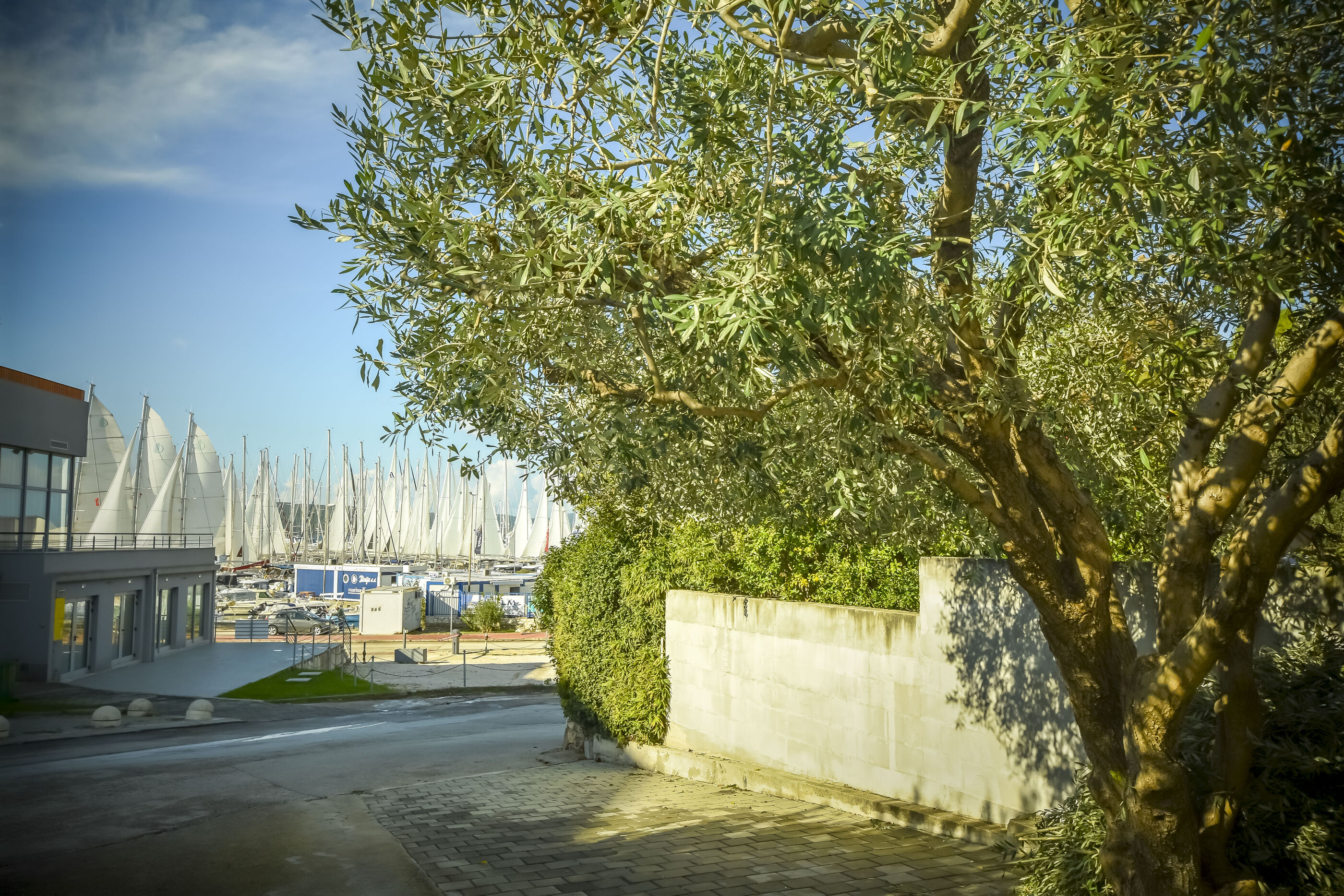 Photo of Apartments Jasmine