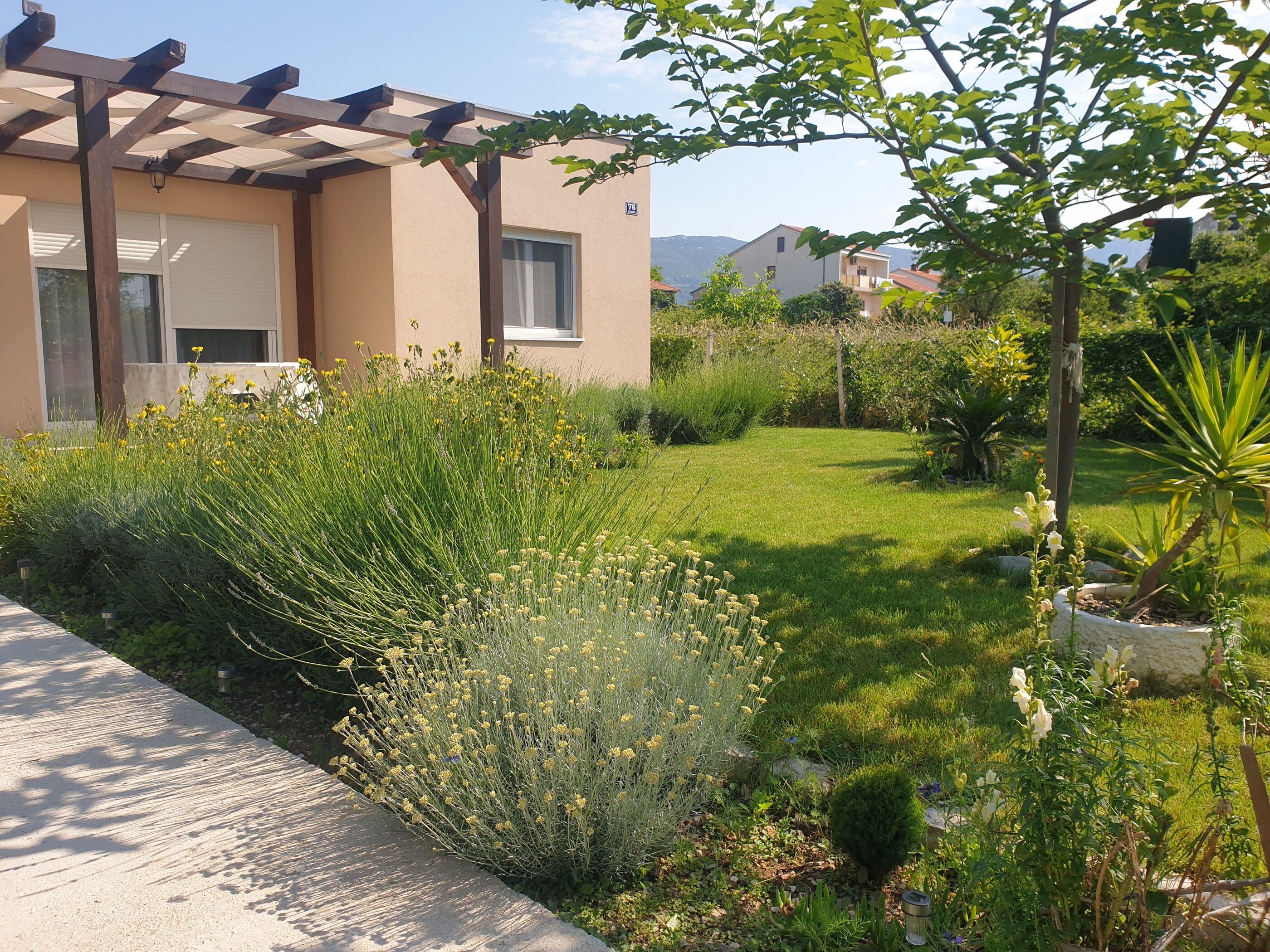 Photo of House Garden House