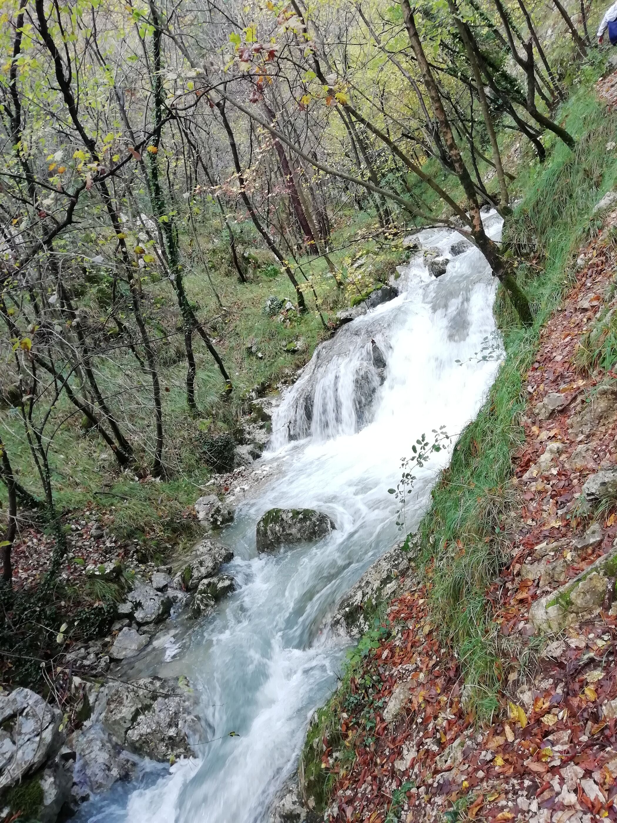 Photo of Apartment Modric