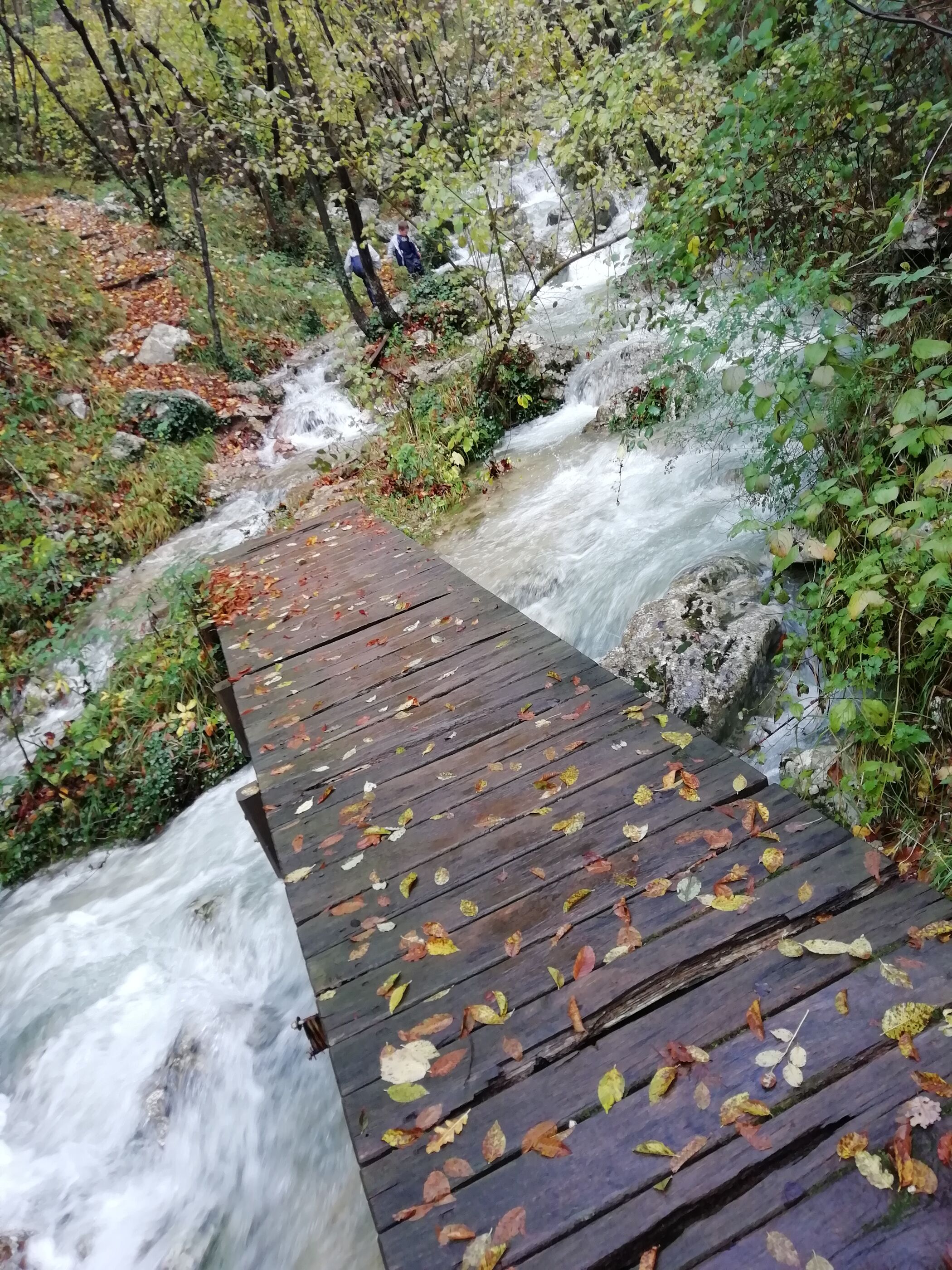 Photo of Apartment Modric