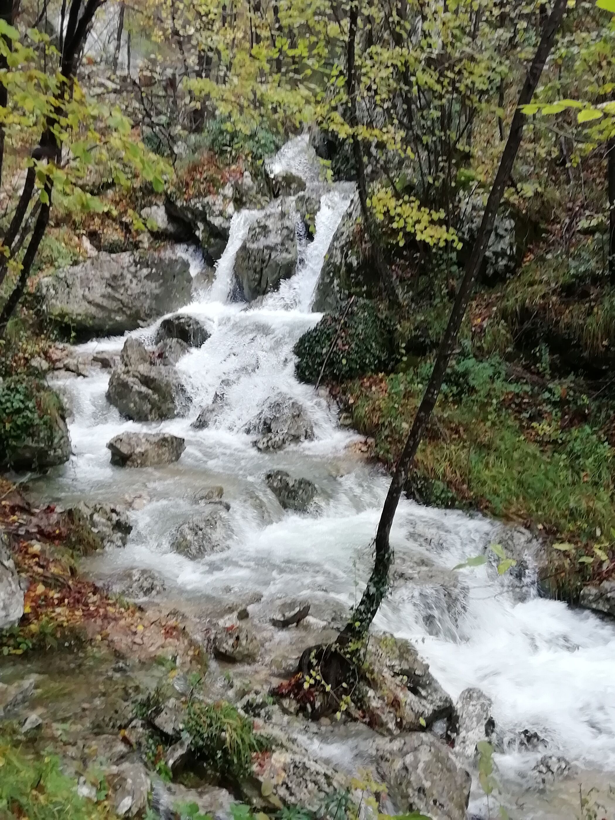 Photo of Apartment Modric