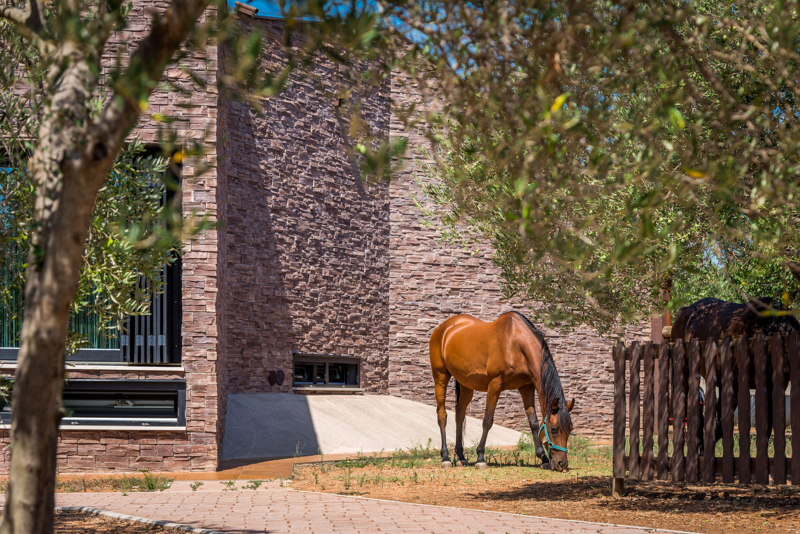 Villa Horse house V0981-K1