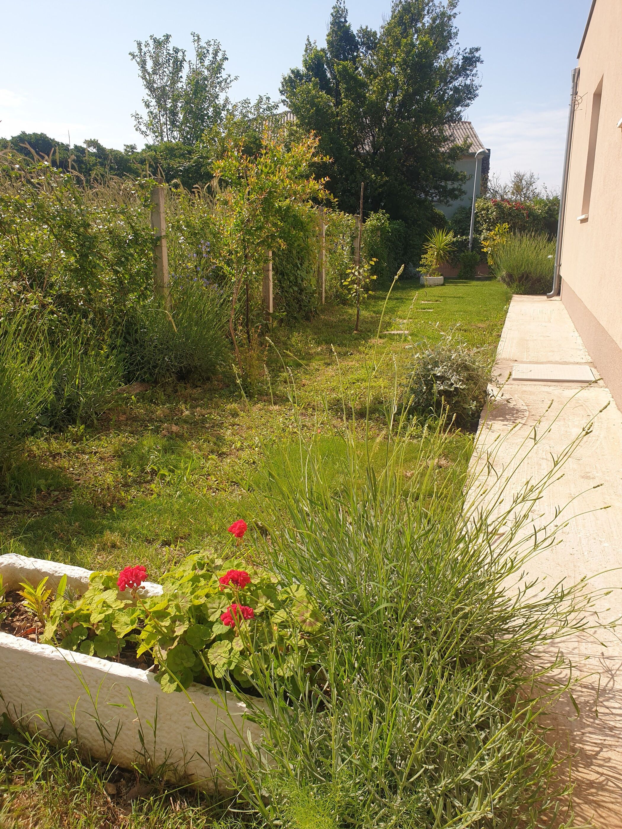 House Garden House 98501-K1