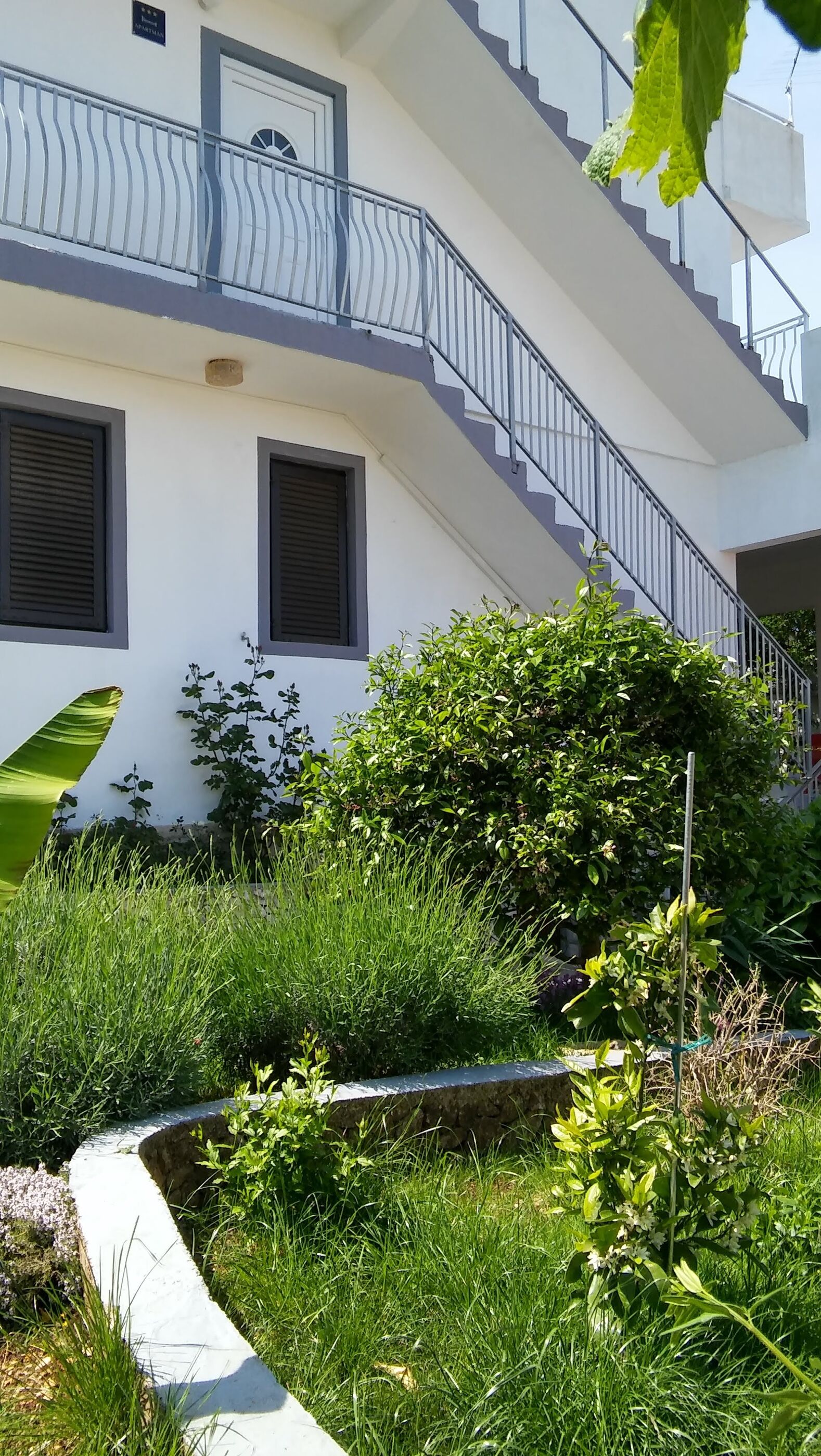 Apartment Nirvana 98811-A1