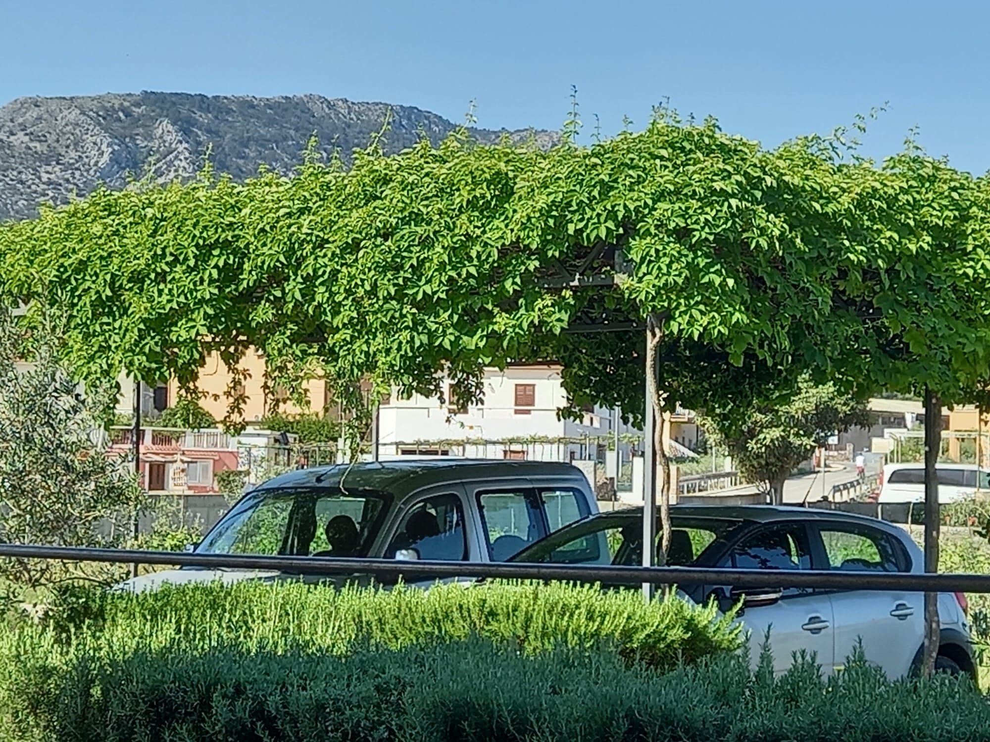 Apartment Buncuga 98921-A1