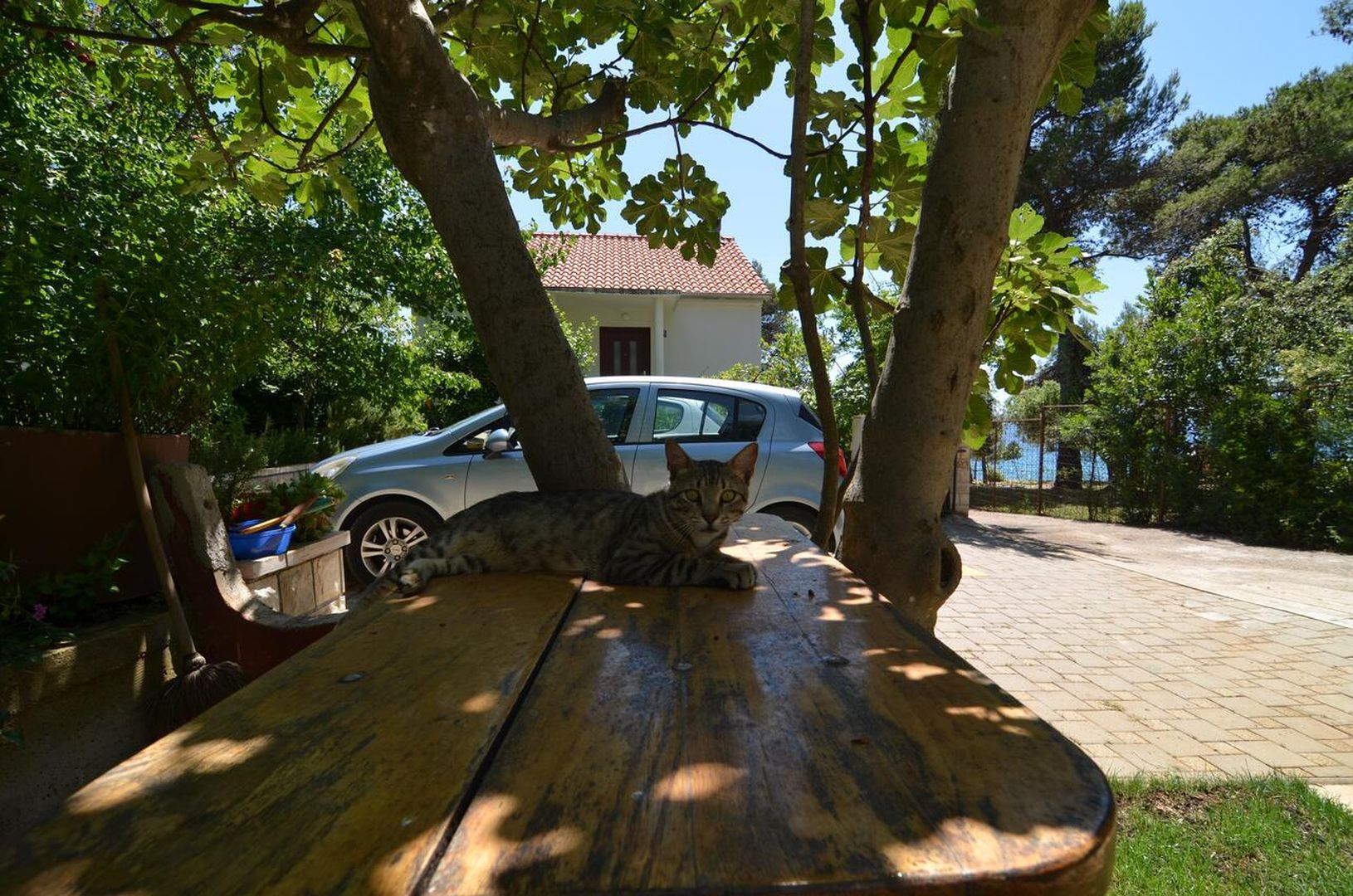 Apartments Baradić 99241-A3