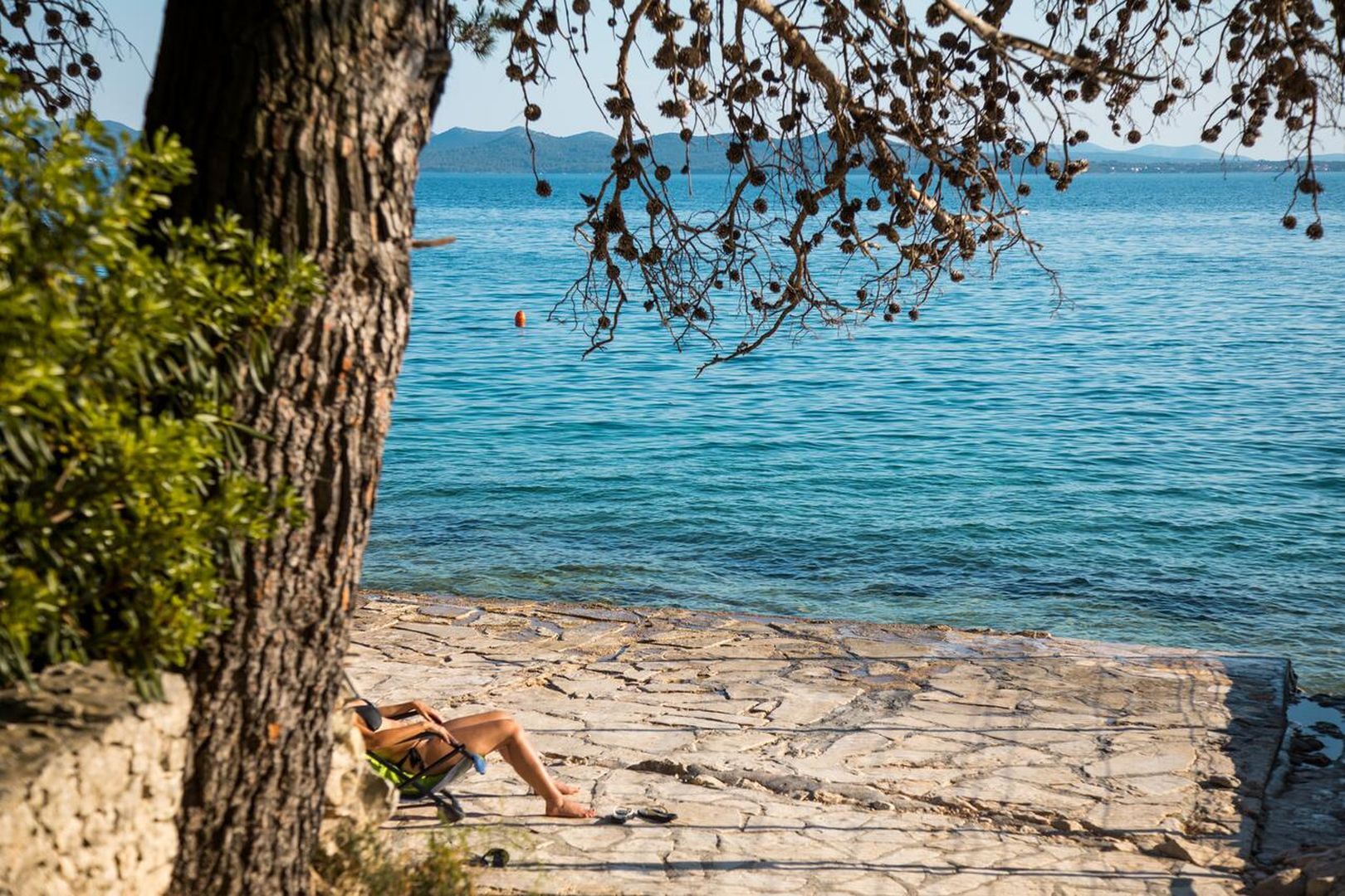 Photo of Apartments Baradić