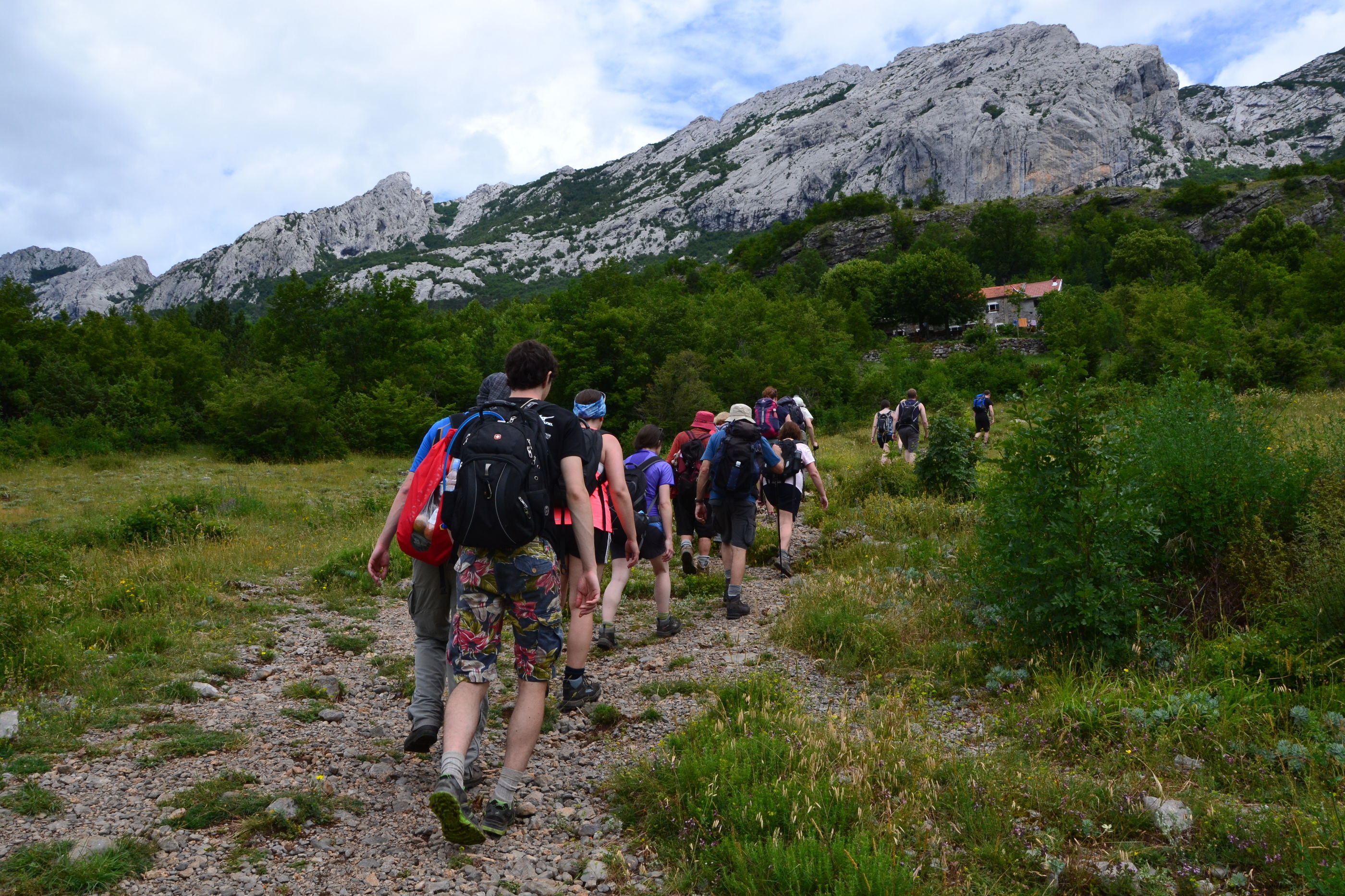 Photo of Apartments Baradić