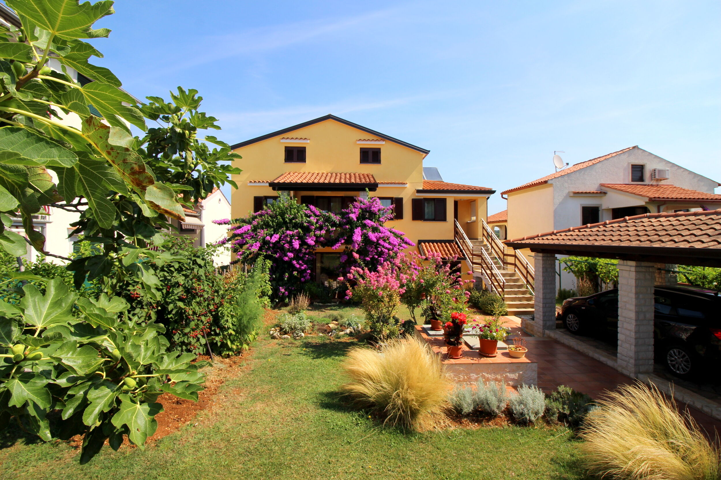 Photo of Apartments Tancel