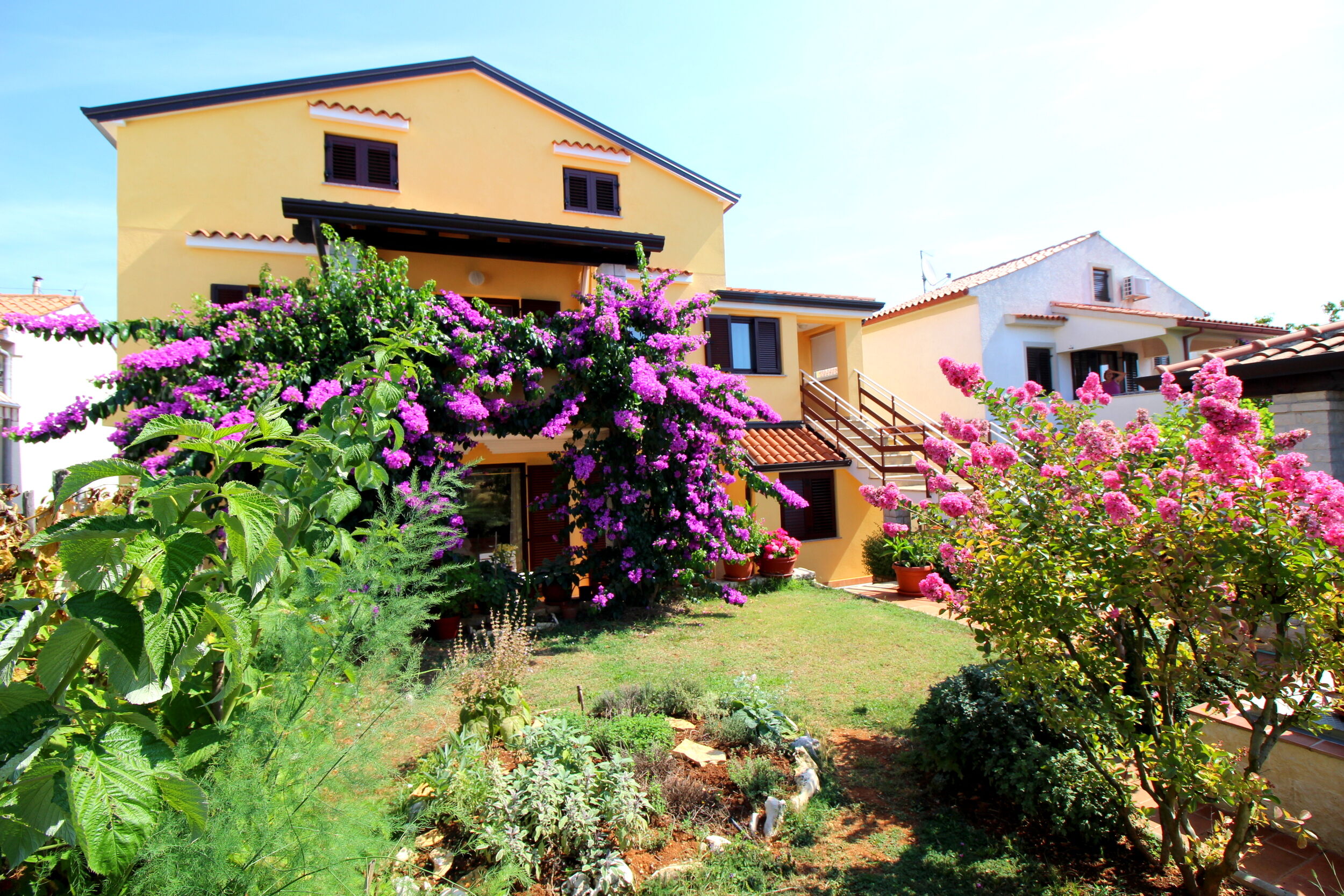 Photo of Apartments Tancel