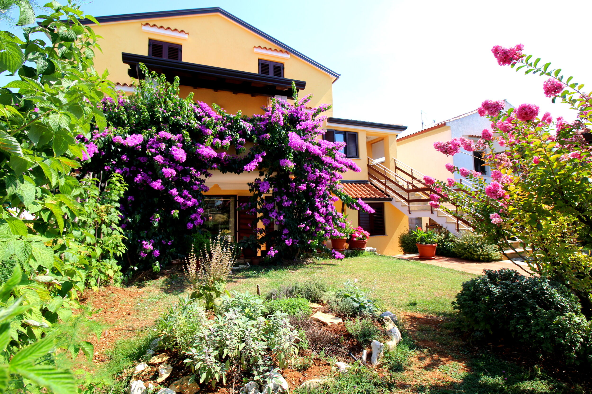 Photo of Apartments Tancel