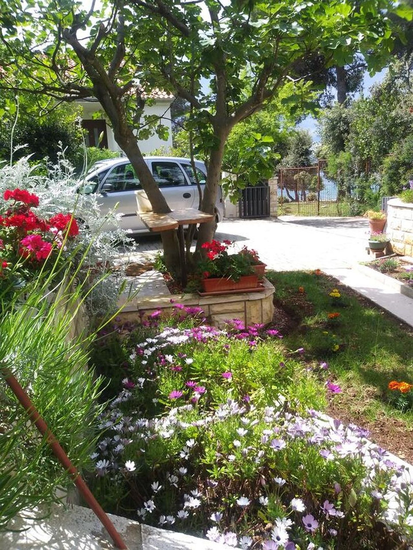 Apartments Baradić 99241-A3