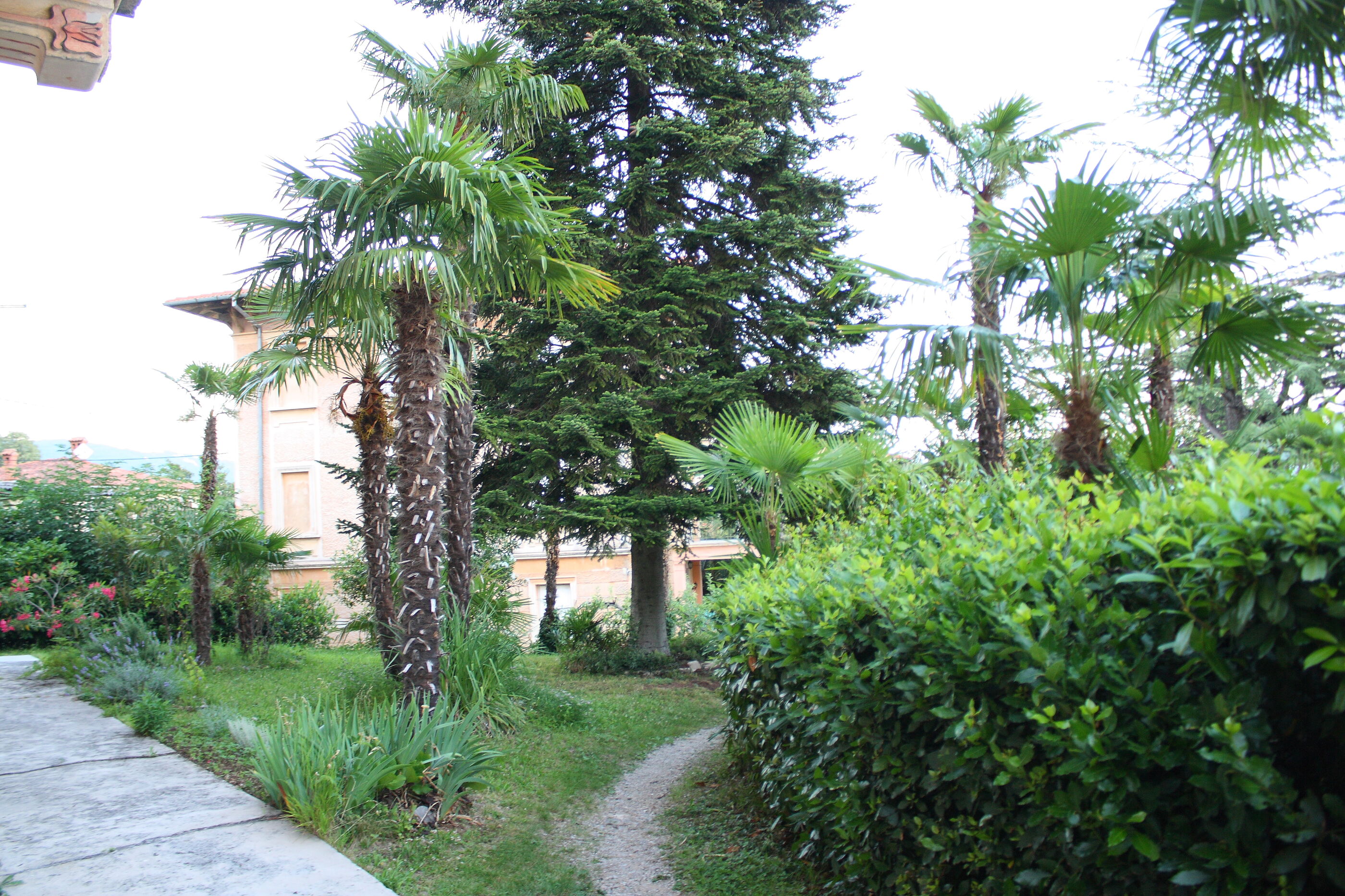Apartments Rezine 65862-A2
