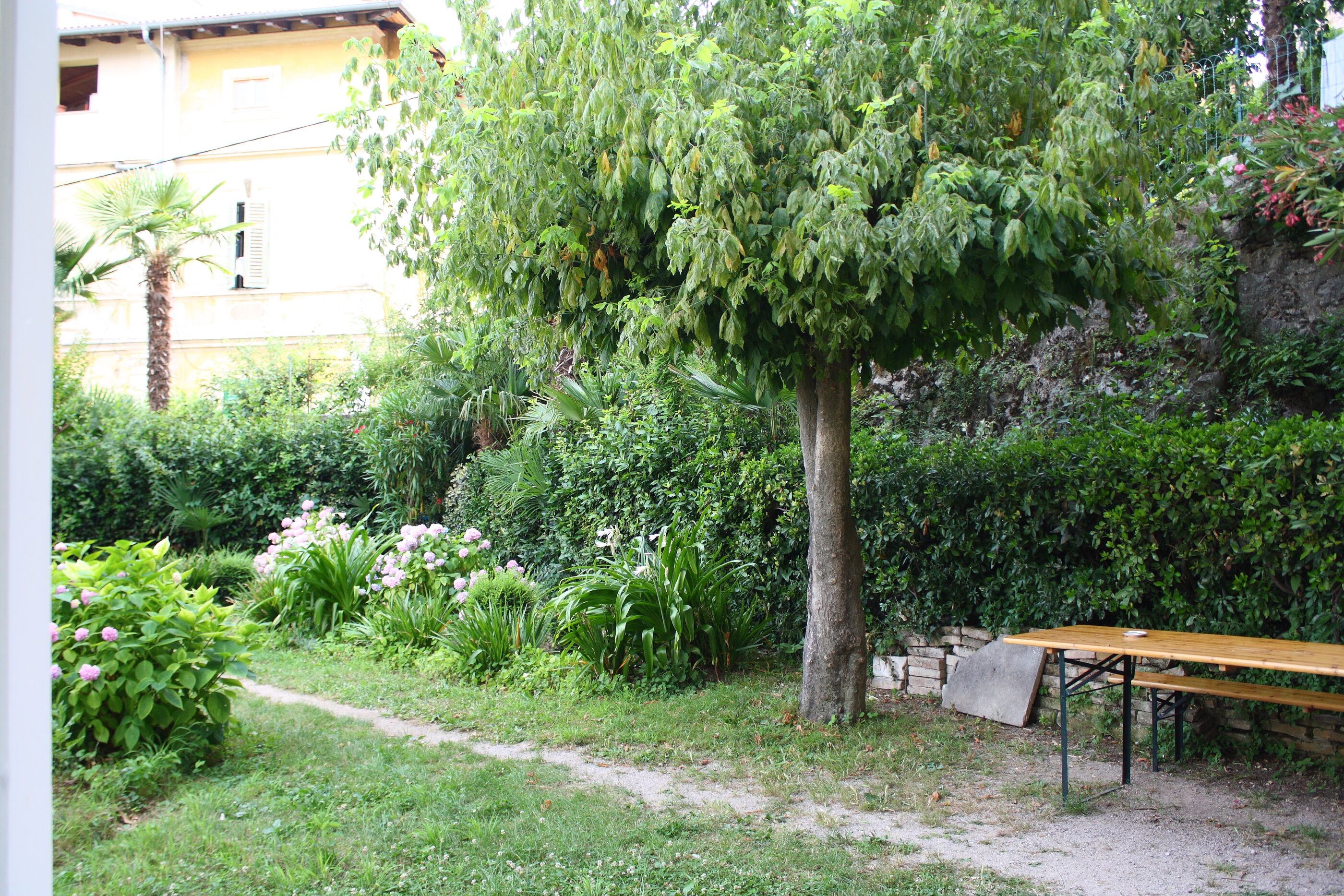Apartments Rezine 65862-A2