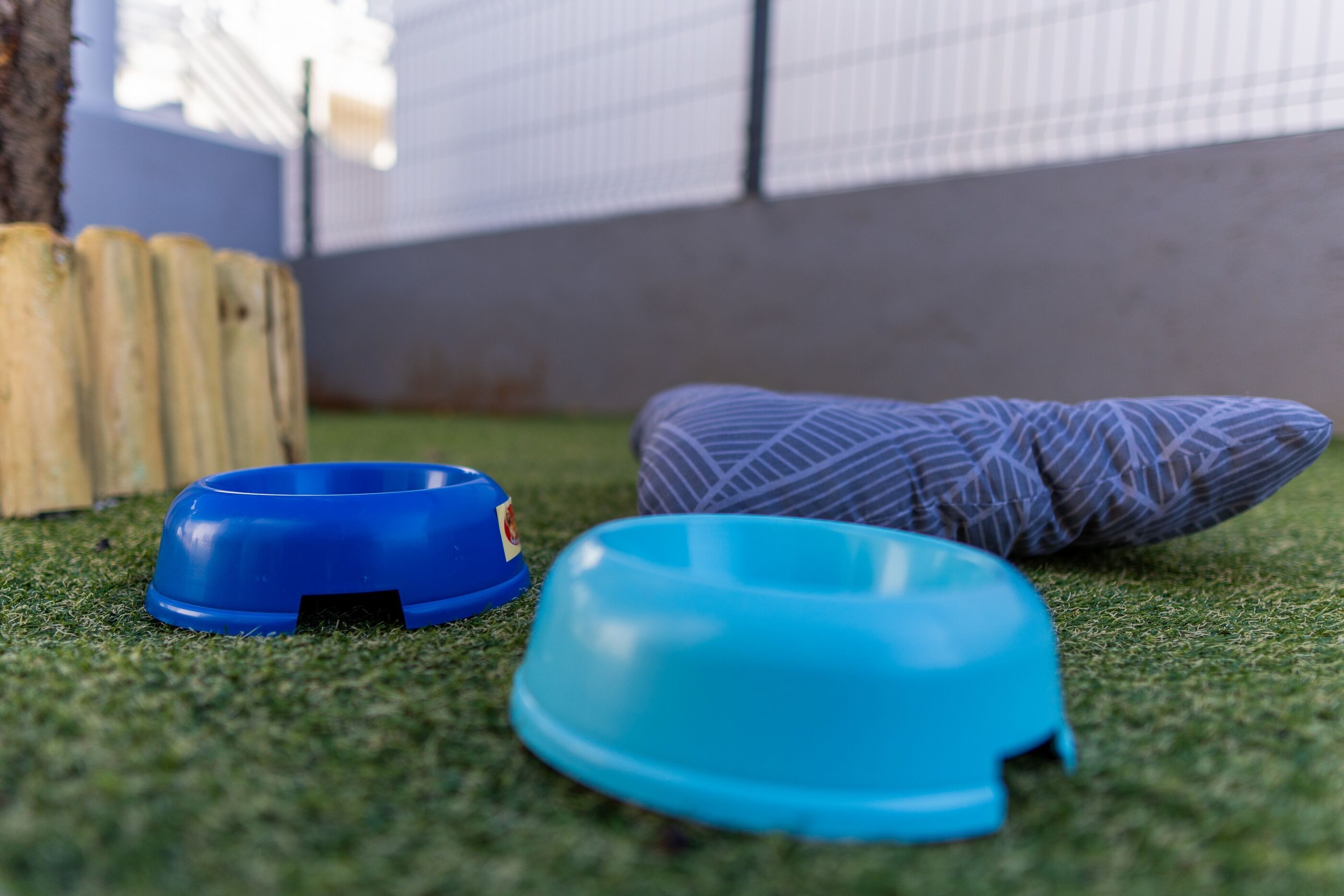 Photo of Apartment Floreani