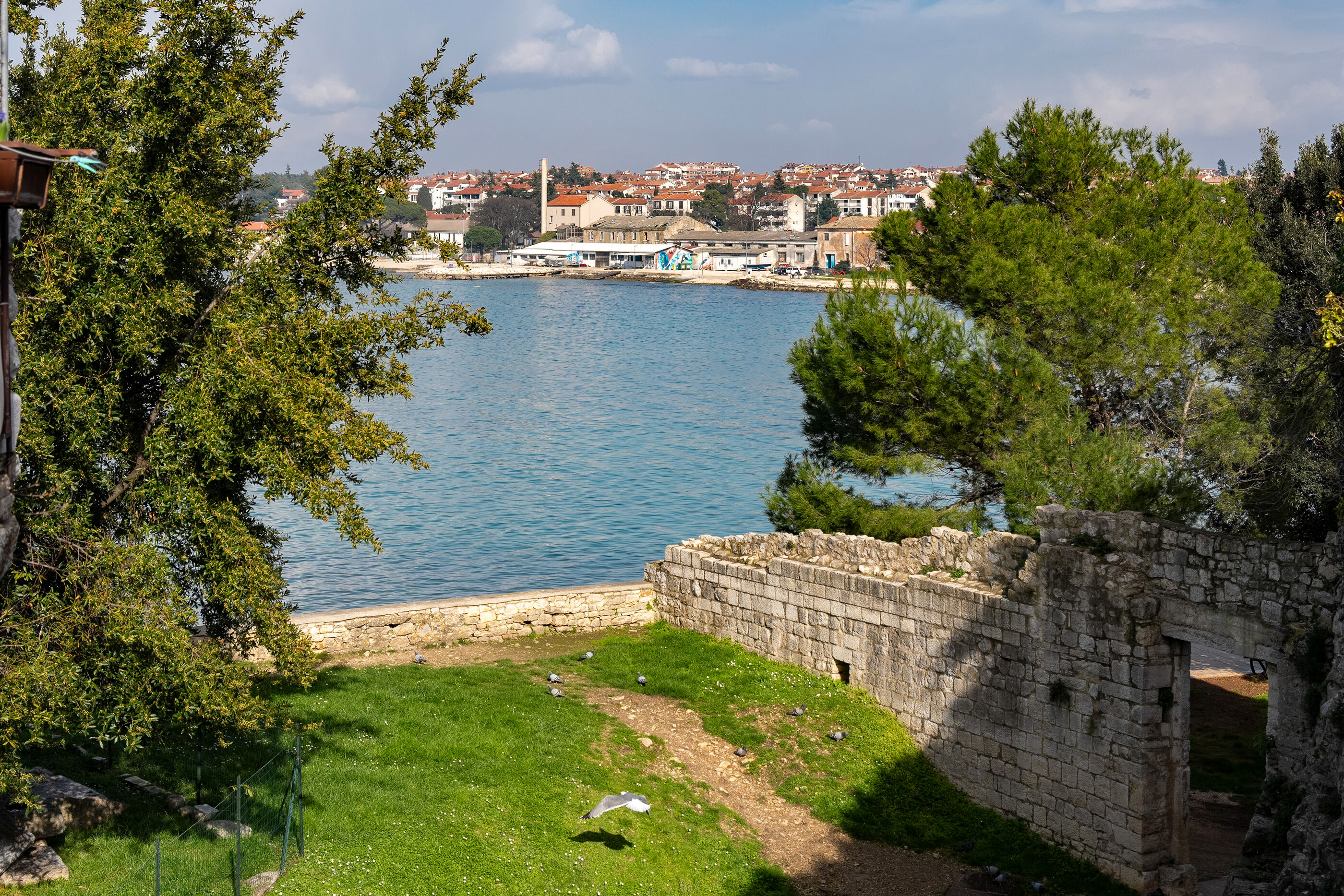 Photo of Apartment Piazzetta Premium