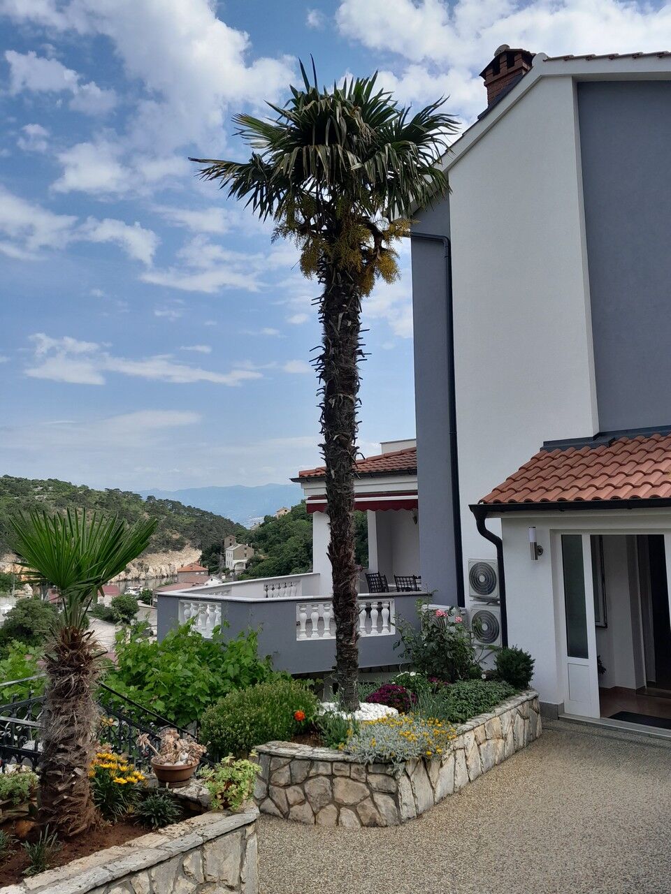 Apartment Branko 63803-A1