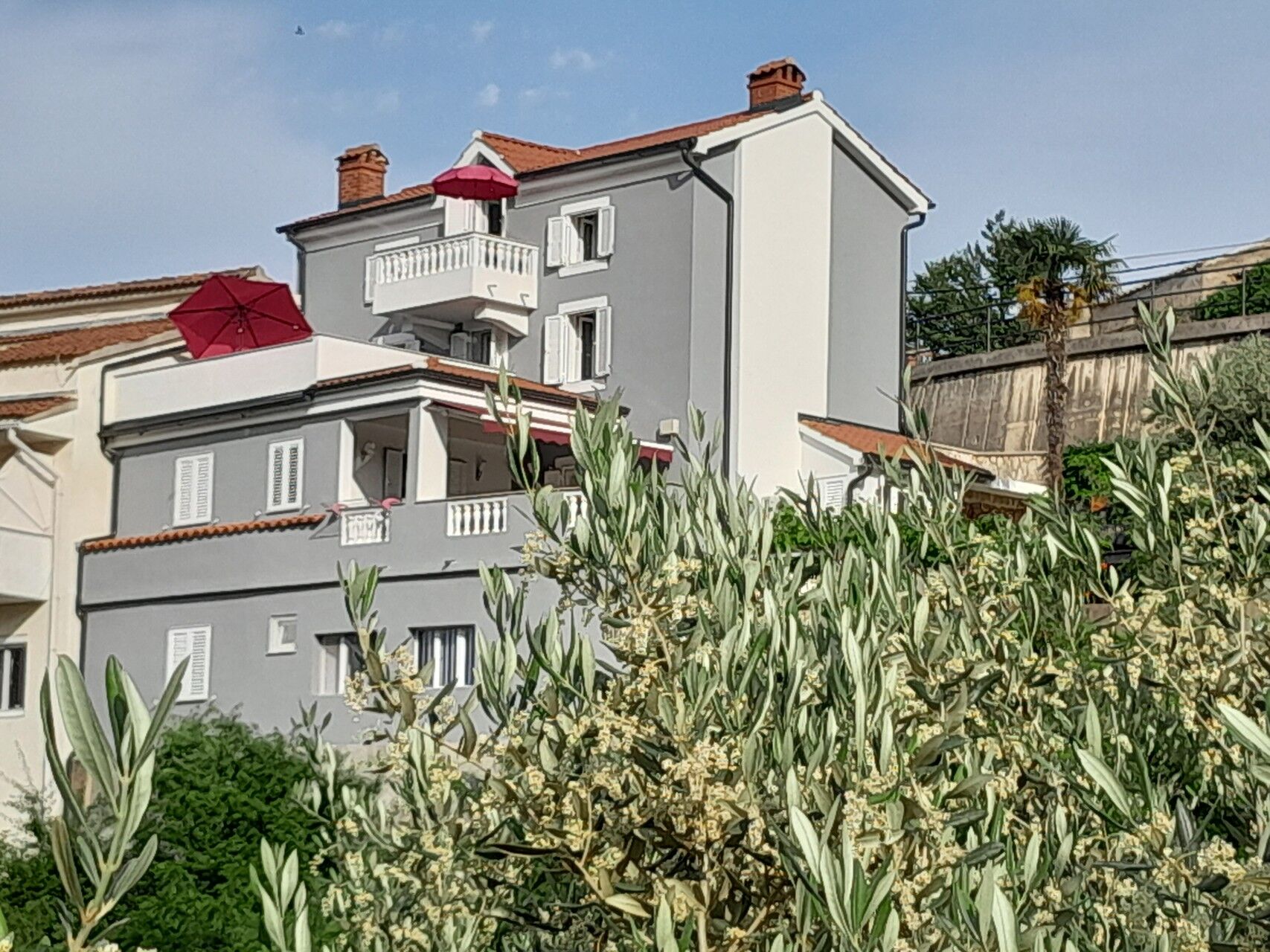 Apartment Branko 63803-A1