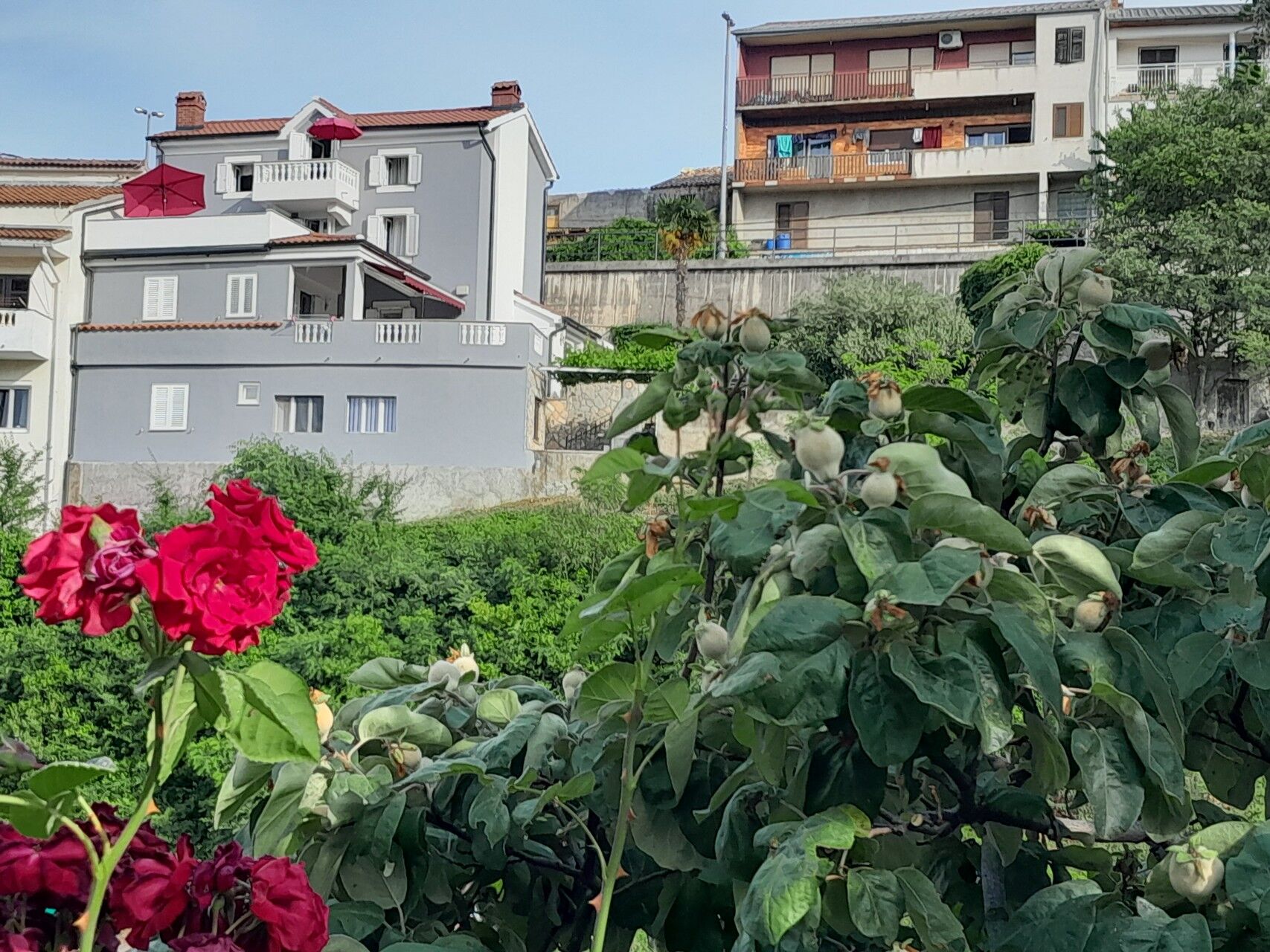 Apartment Branko 63803-A1