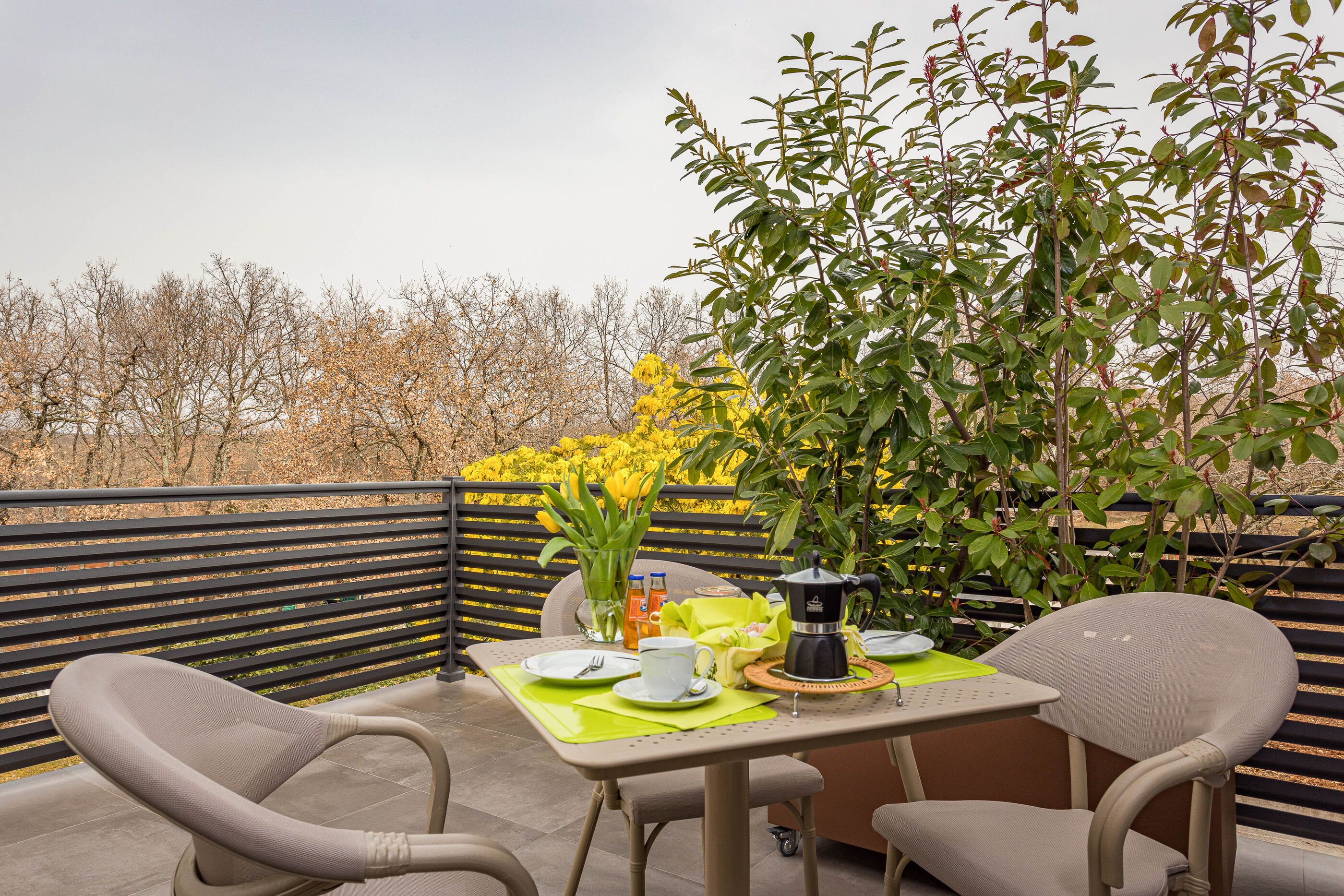 Apartments Bijou 99781-A2