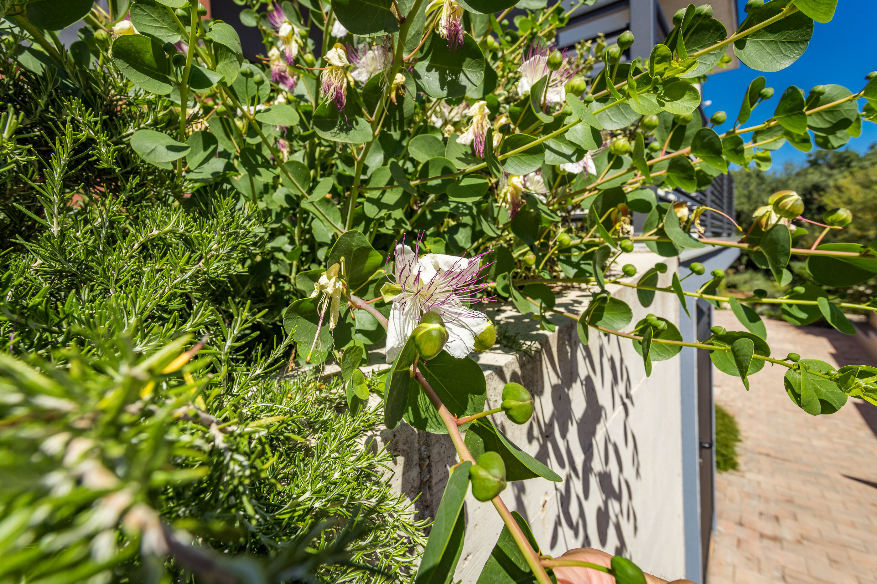 Photo of Apartments Bijou