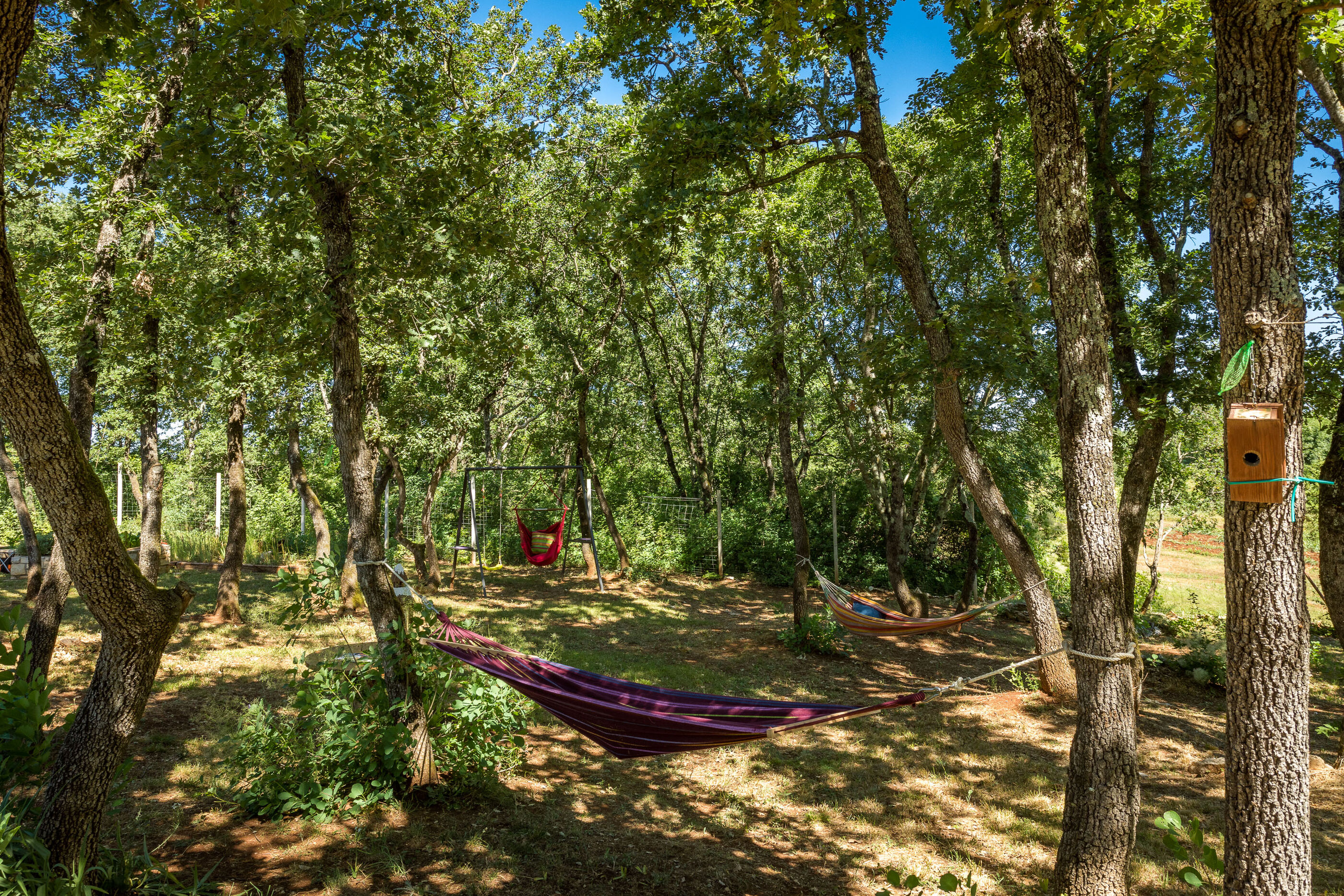 Photo of Apartments Bijou