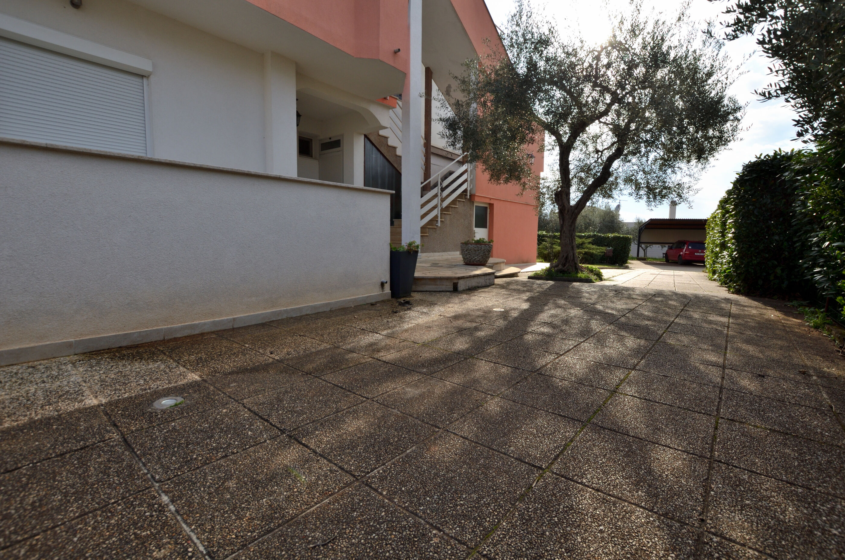 Apartments Emil 99021-A1