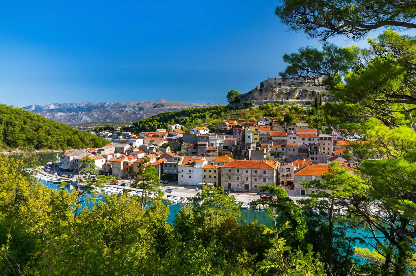 Photo of Apartment Villageway