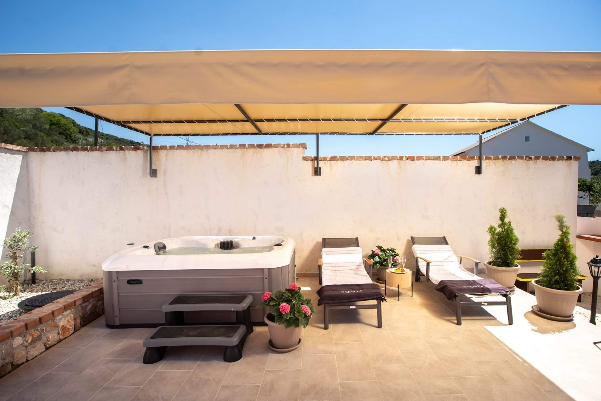 House Olive tree 60002-K1