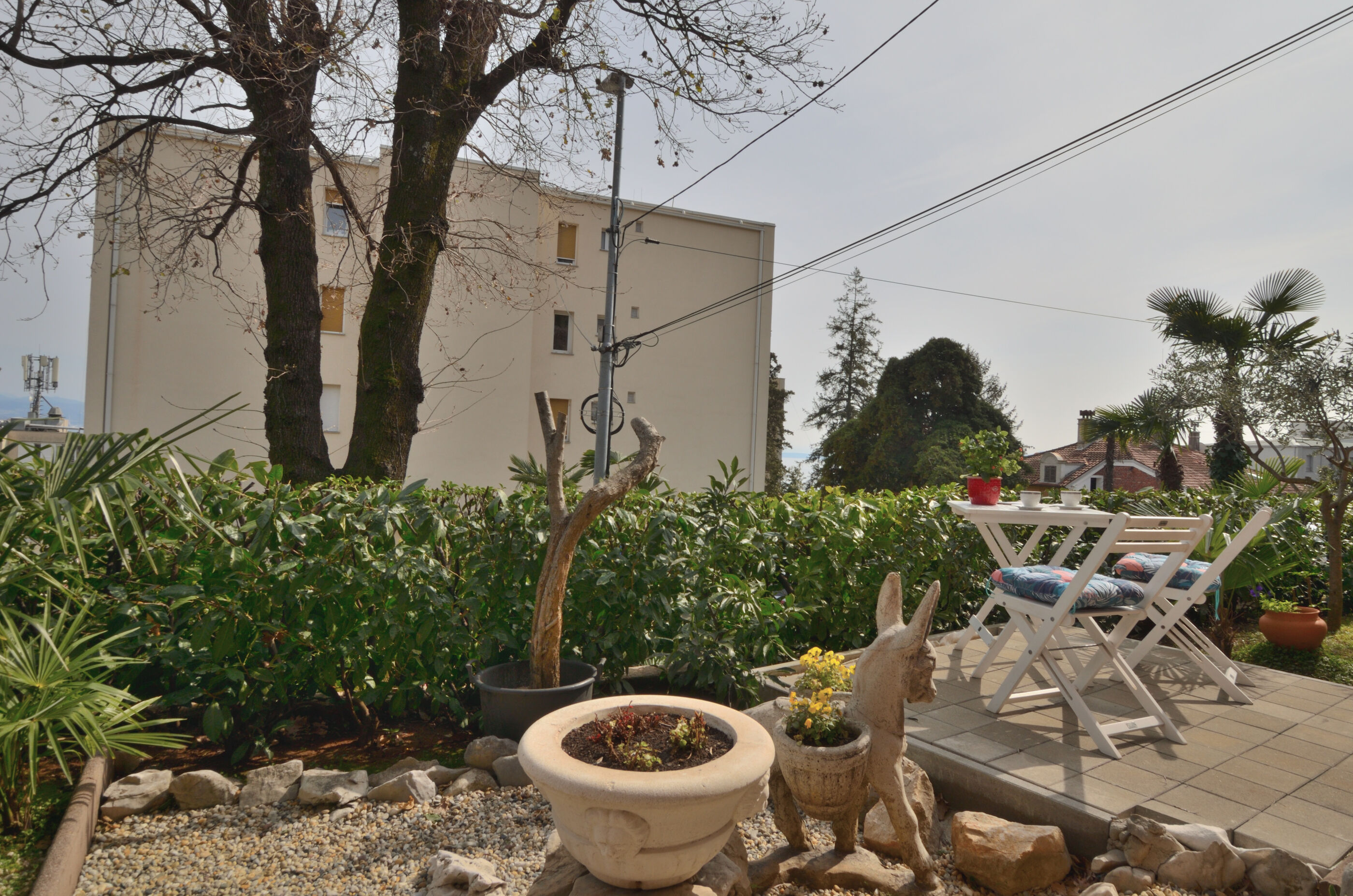 Photo of Apartment Neda