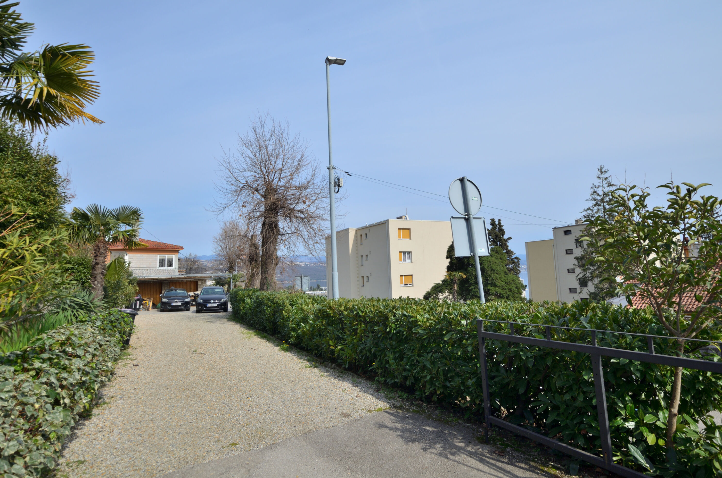 Apartment Neda 99631-A1