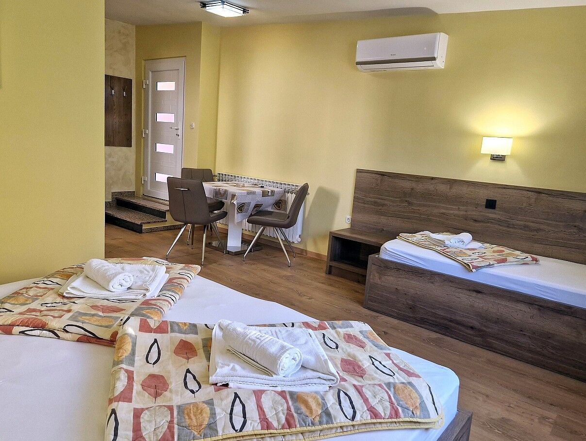 Apartment and Rooms Amenka 20101-A1