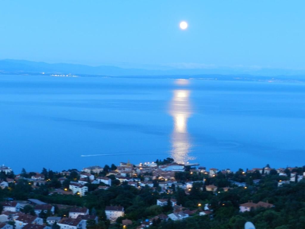 Photo of Apartments Belvedere