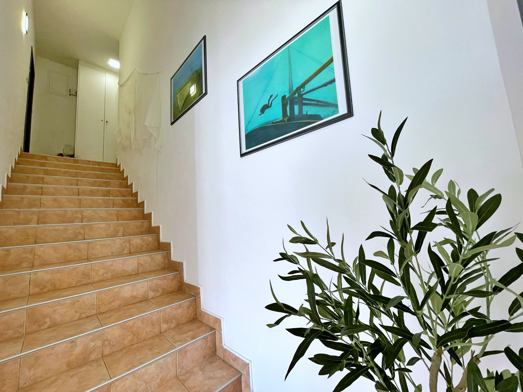 Apartments NEPTUN 63761-A1