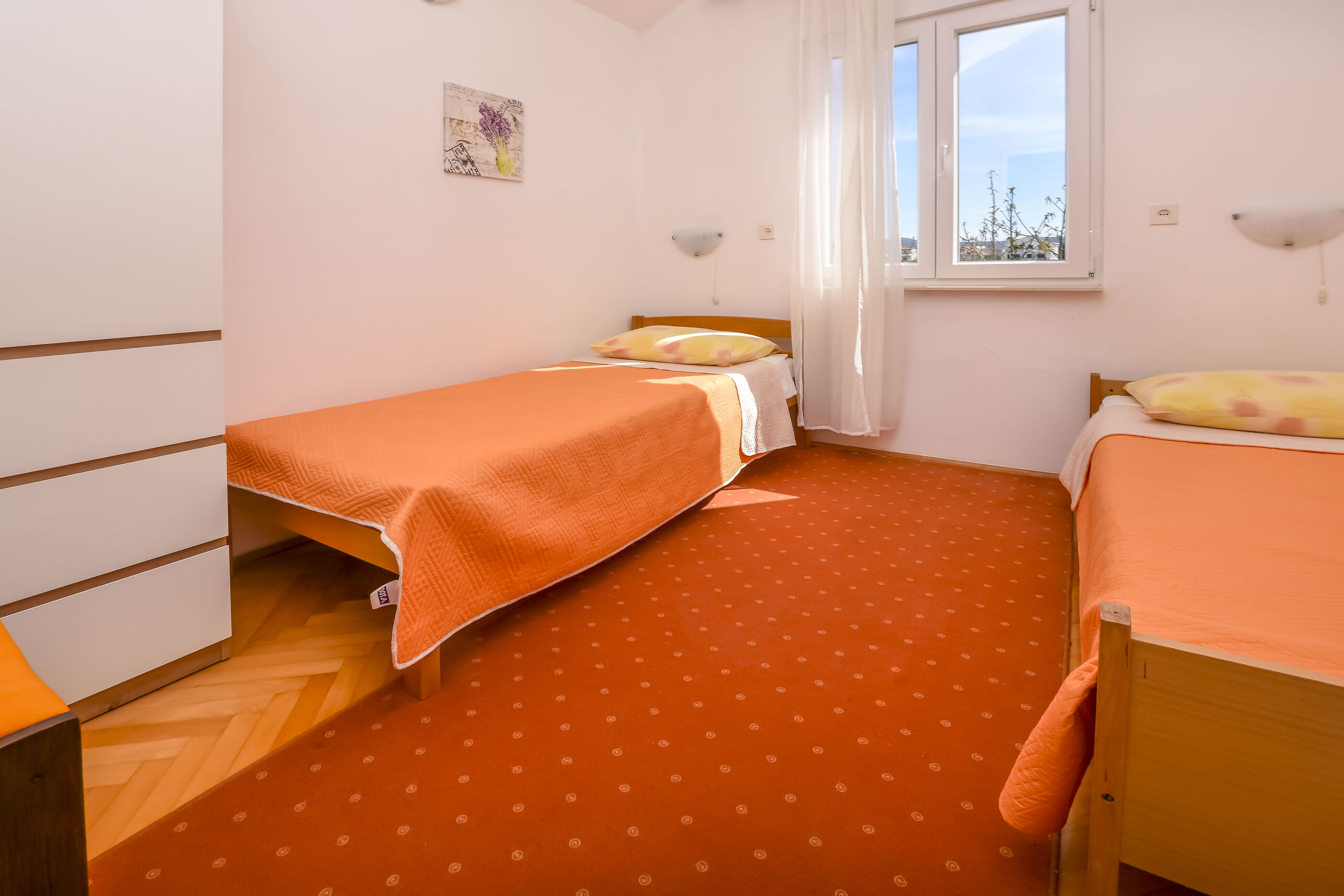 Apartments Živana 51931-A2