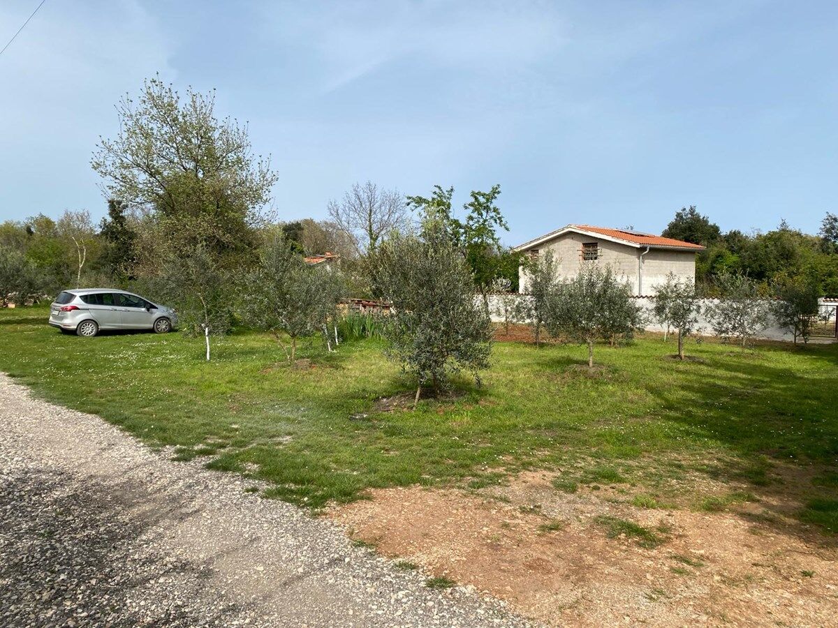 Casa Orangina A1
