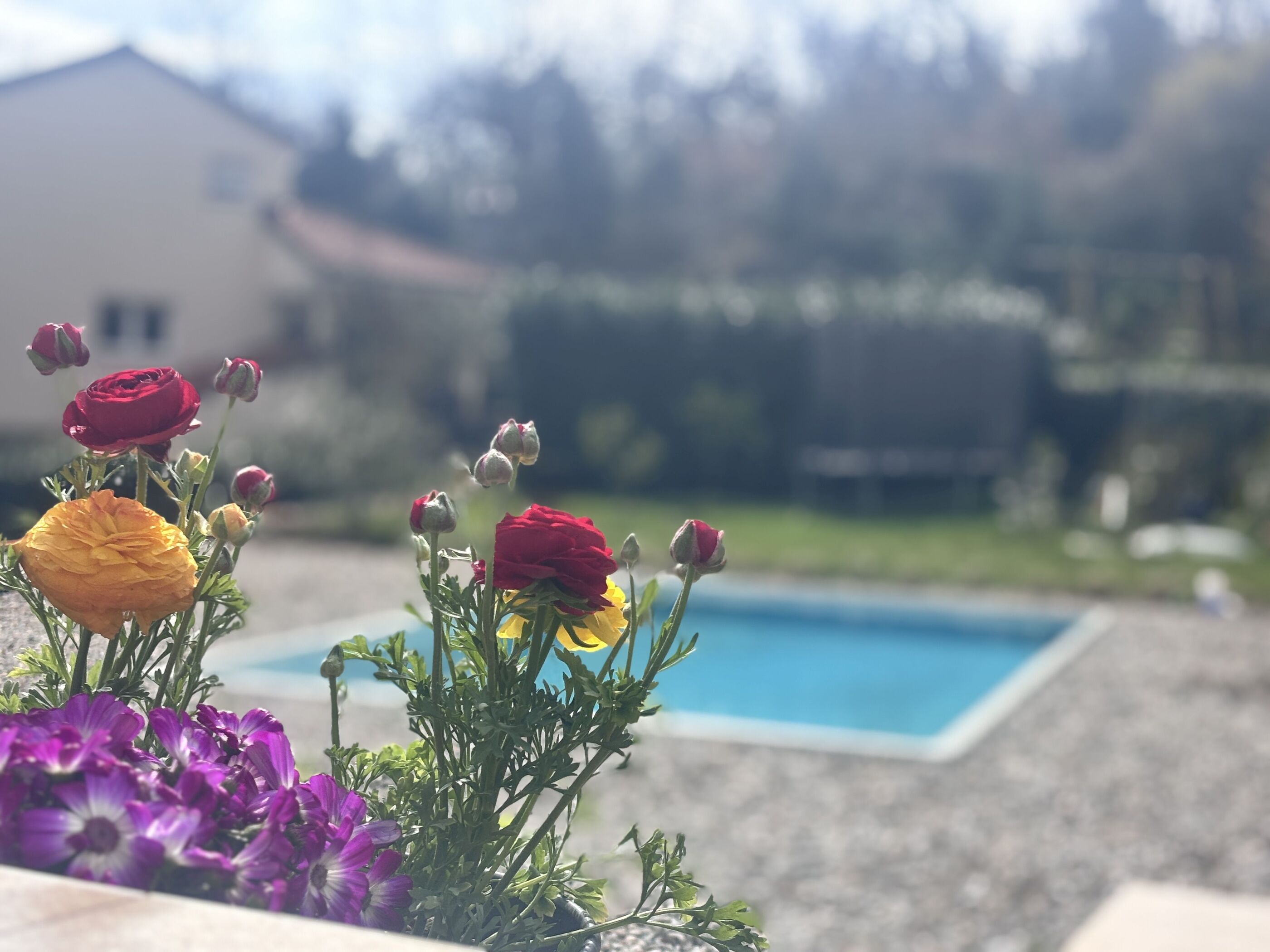 Apartment Aria 100571-A1