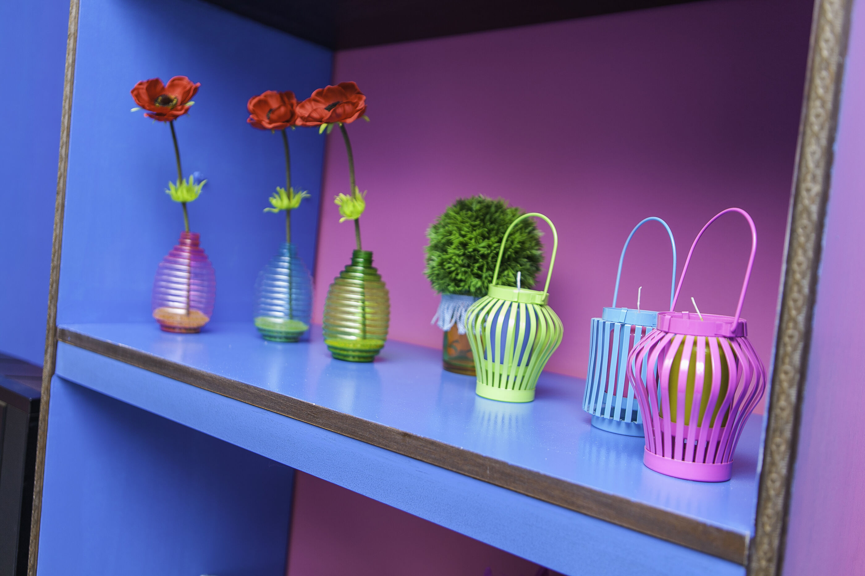 Apartment Colorful 100611-A1