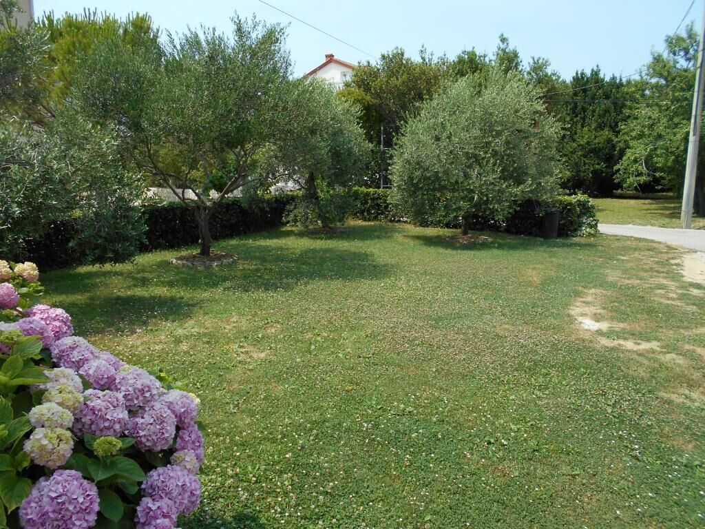 Photo of Apartment Ivanka