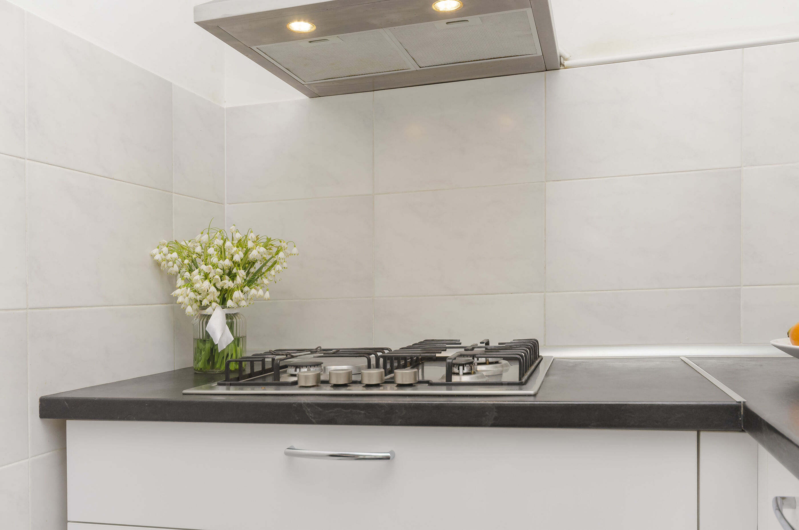 Apartment L&I 101131-A1