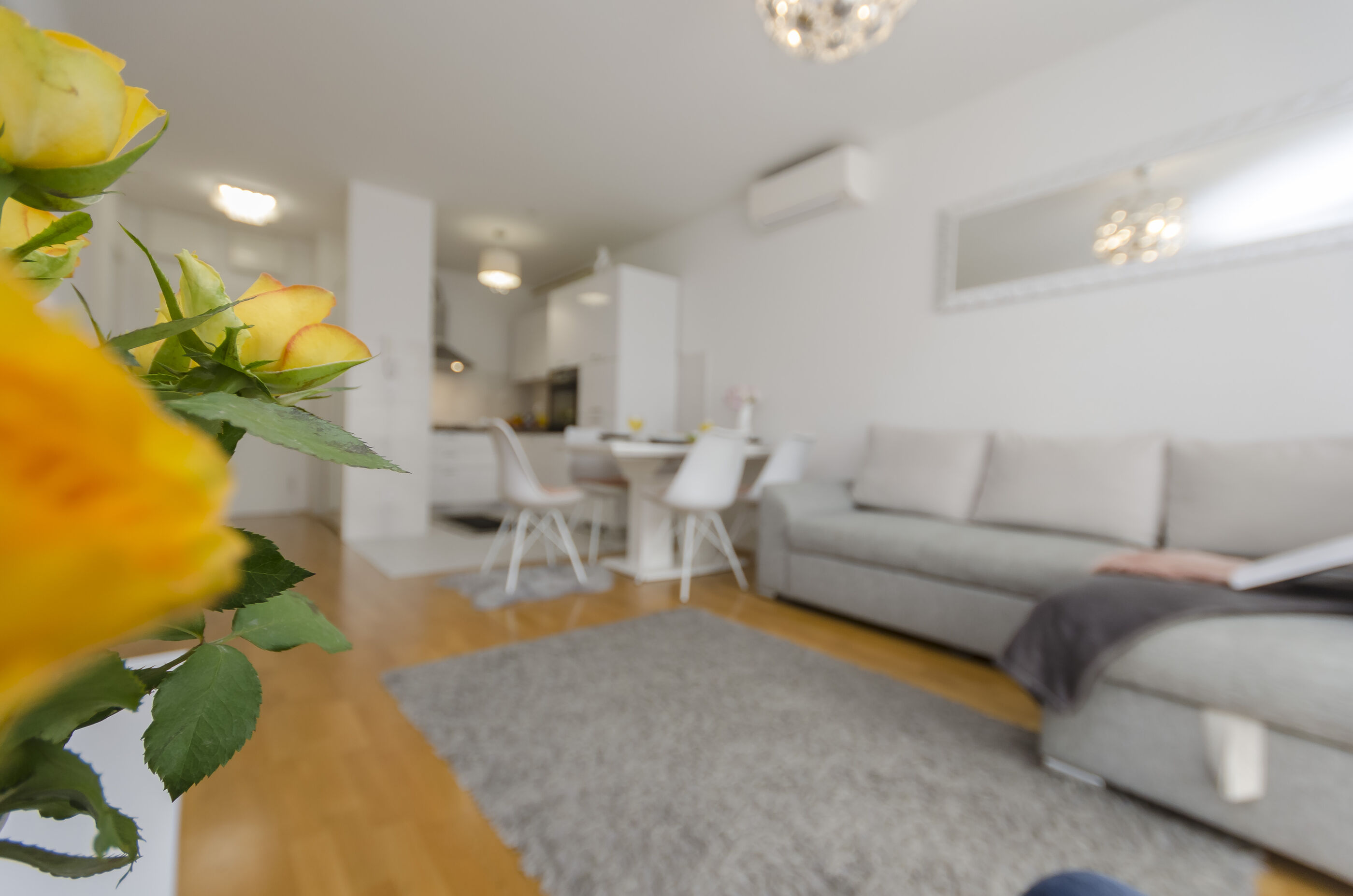Apartment L&I 101131-A1