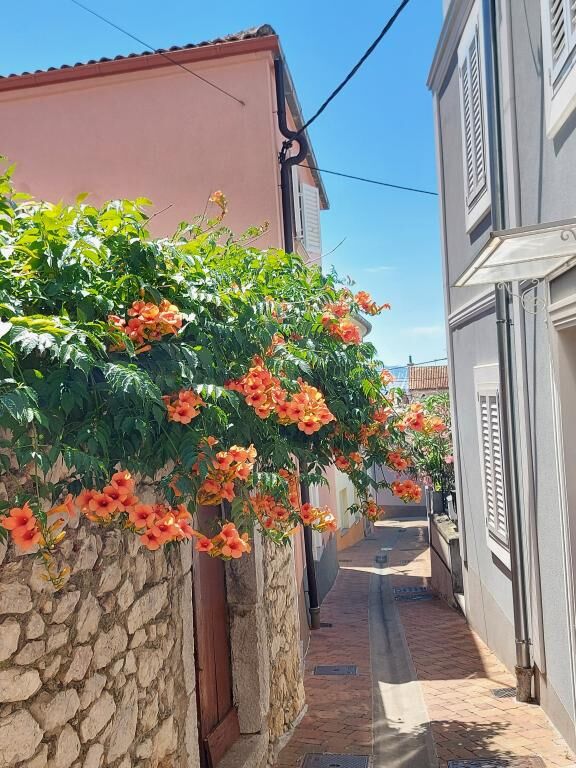Apartments Izabela 97142-A1
