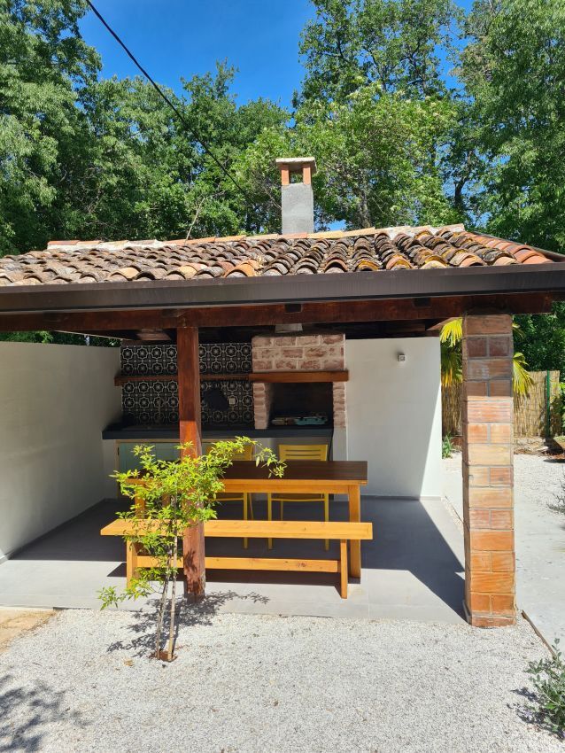 Villa Peronospora V0021-K1