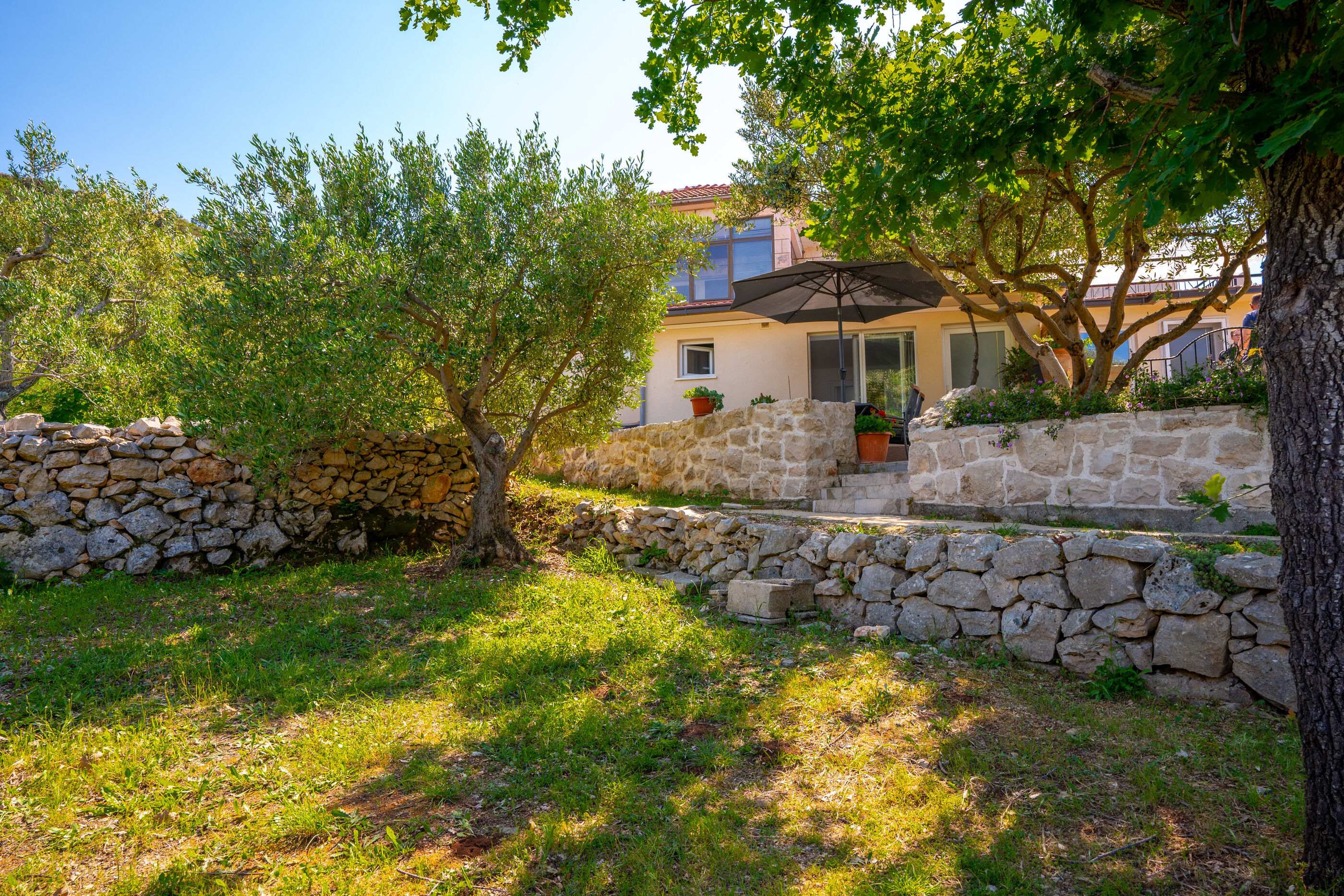 Apartment Maslina 101391-A1