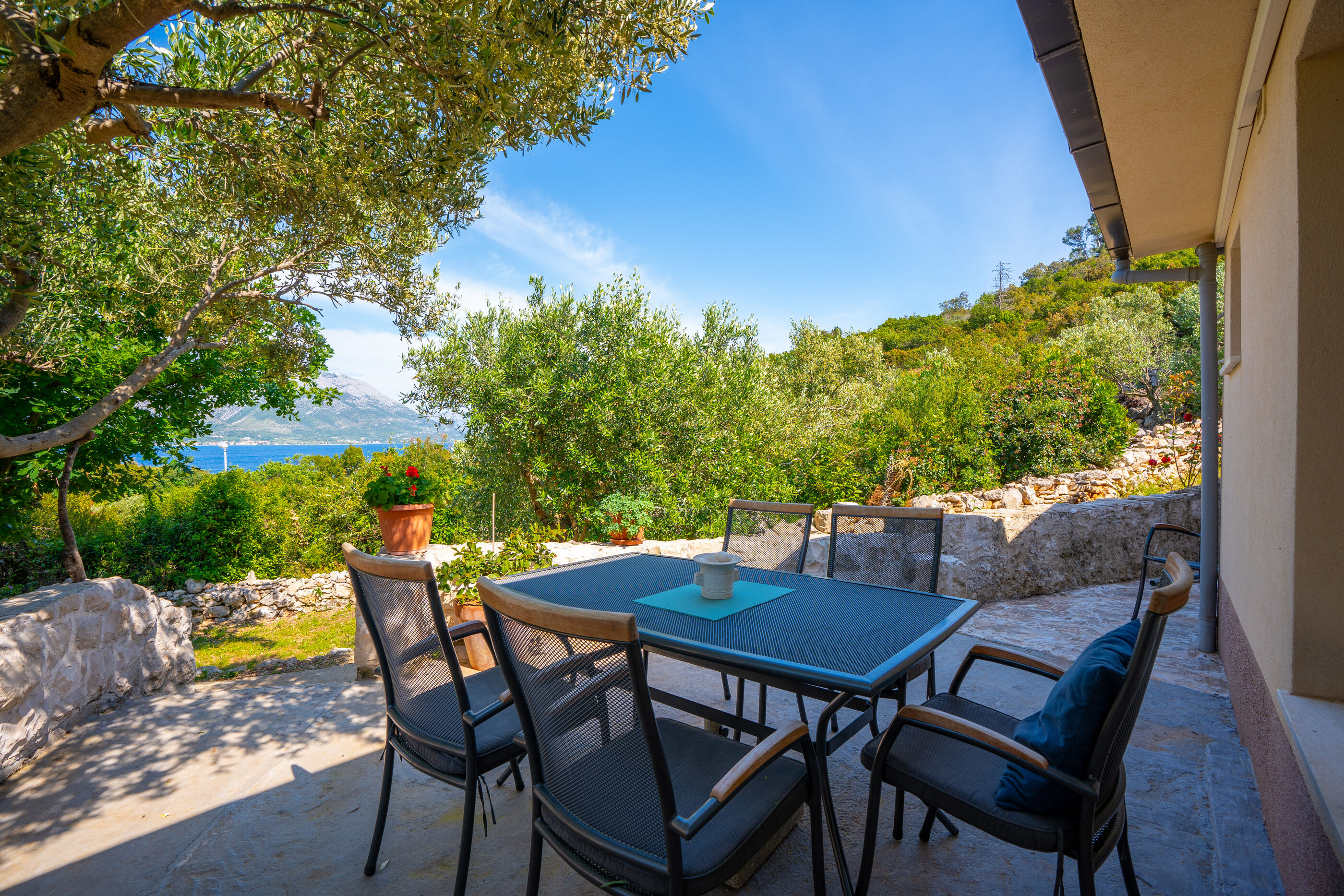 Apartment Maslina 101391-A1