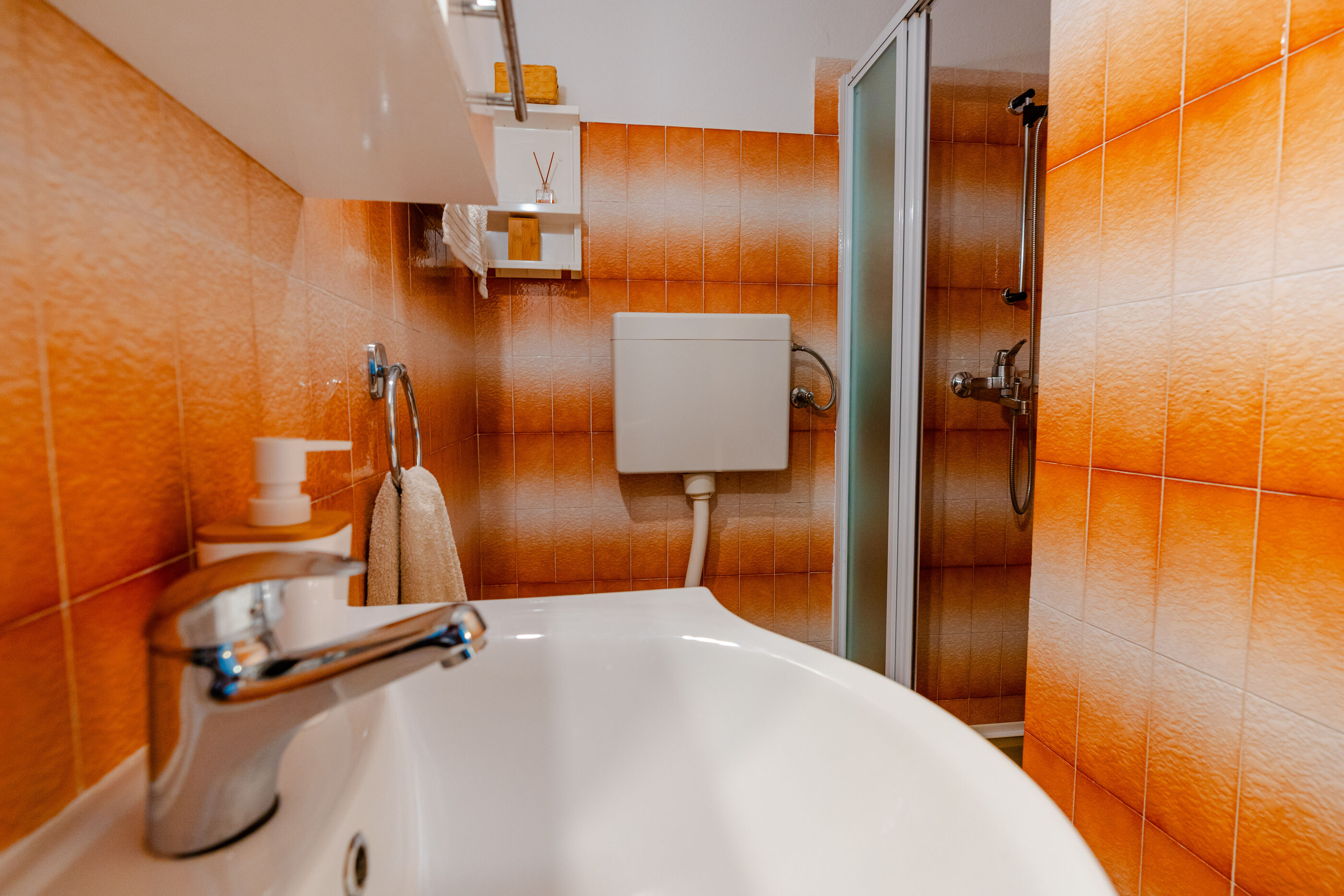 Apartment Maslina 101391-A1