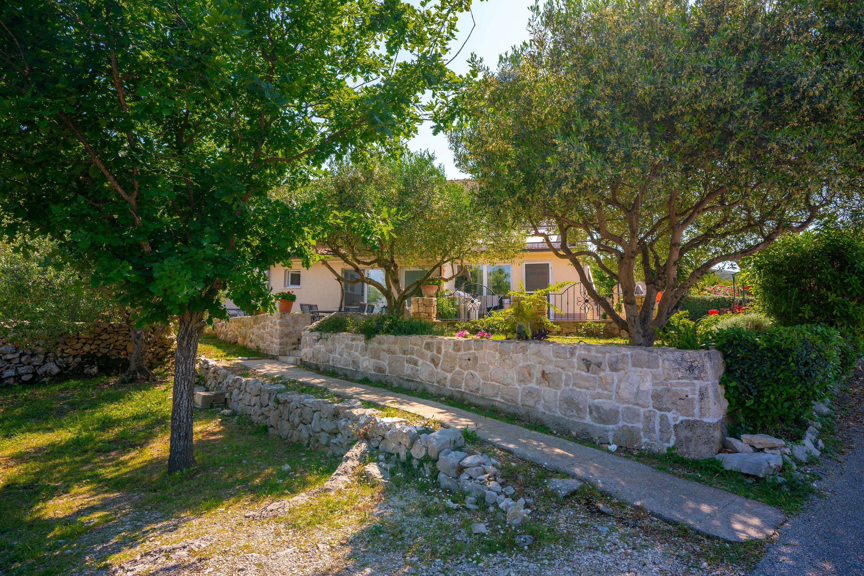Apartment Maslina 101391-A1