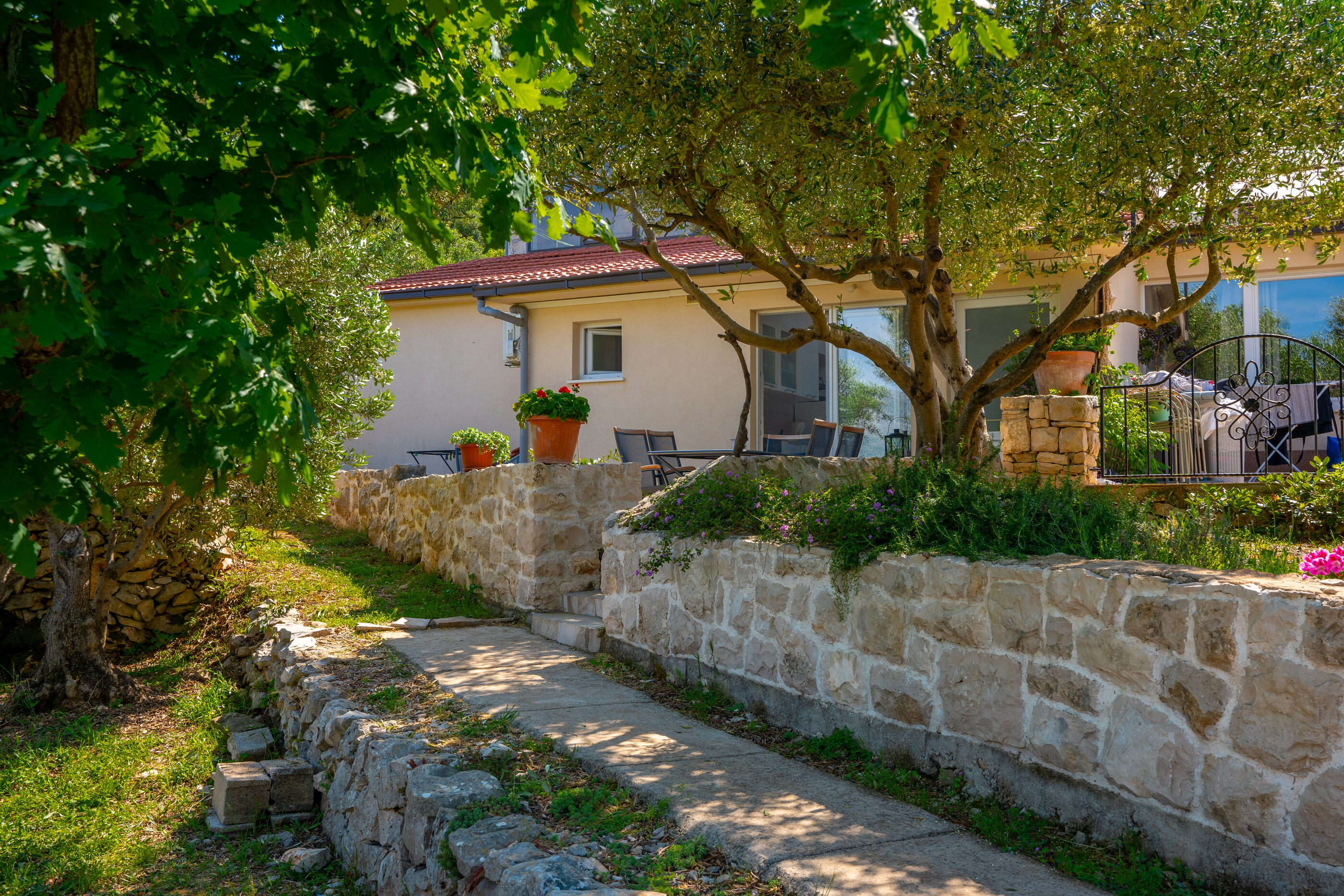 Apartment Maslina 101391-A1