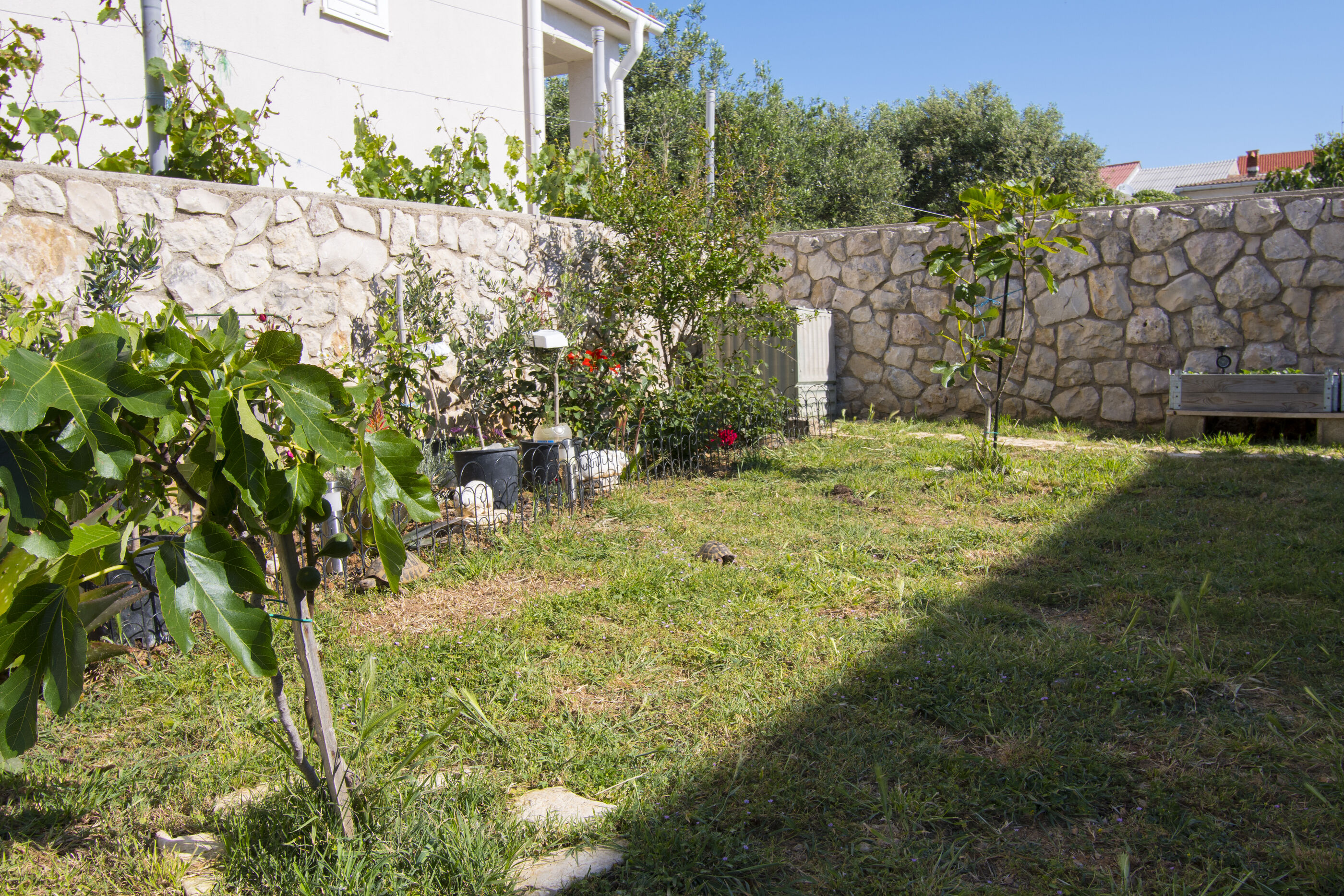 Apartment Dubravka 25781-A1