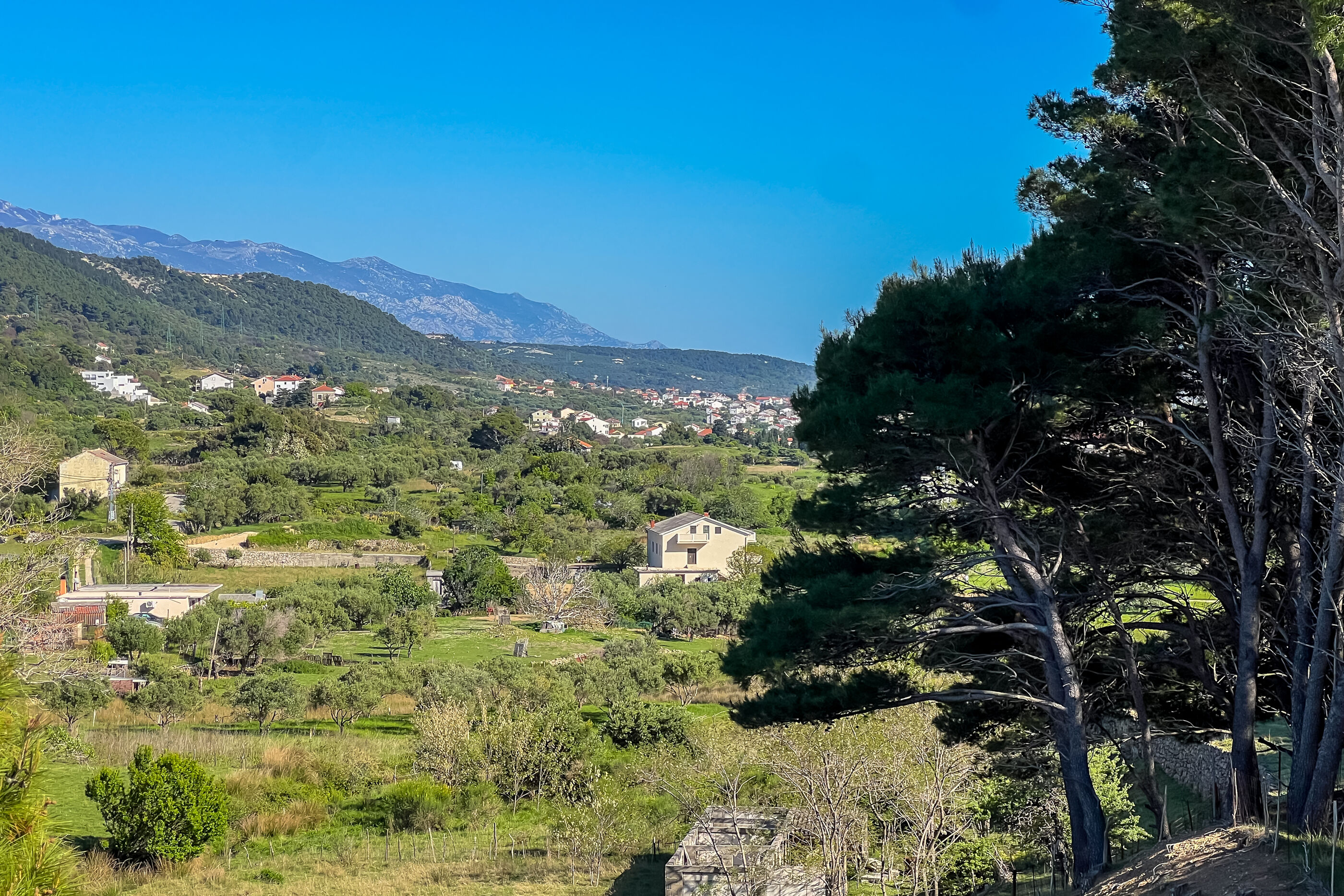 Apartments Franjo 97144-A1